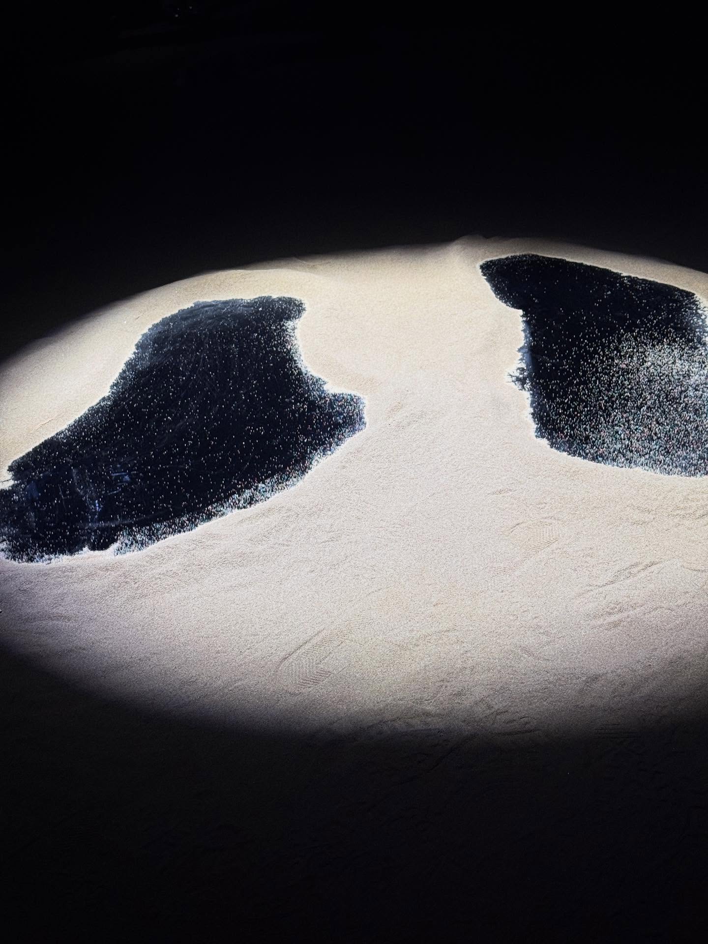 จินนี่ - ณัฐณิชา ประทีปนาฏศิริ