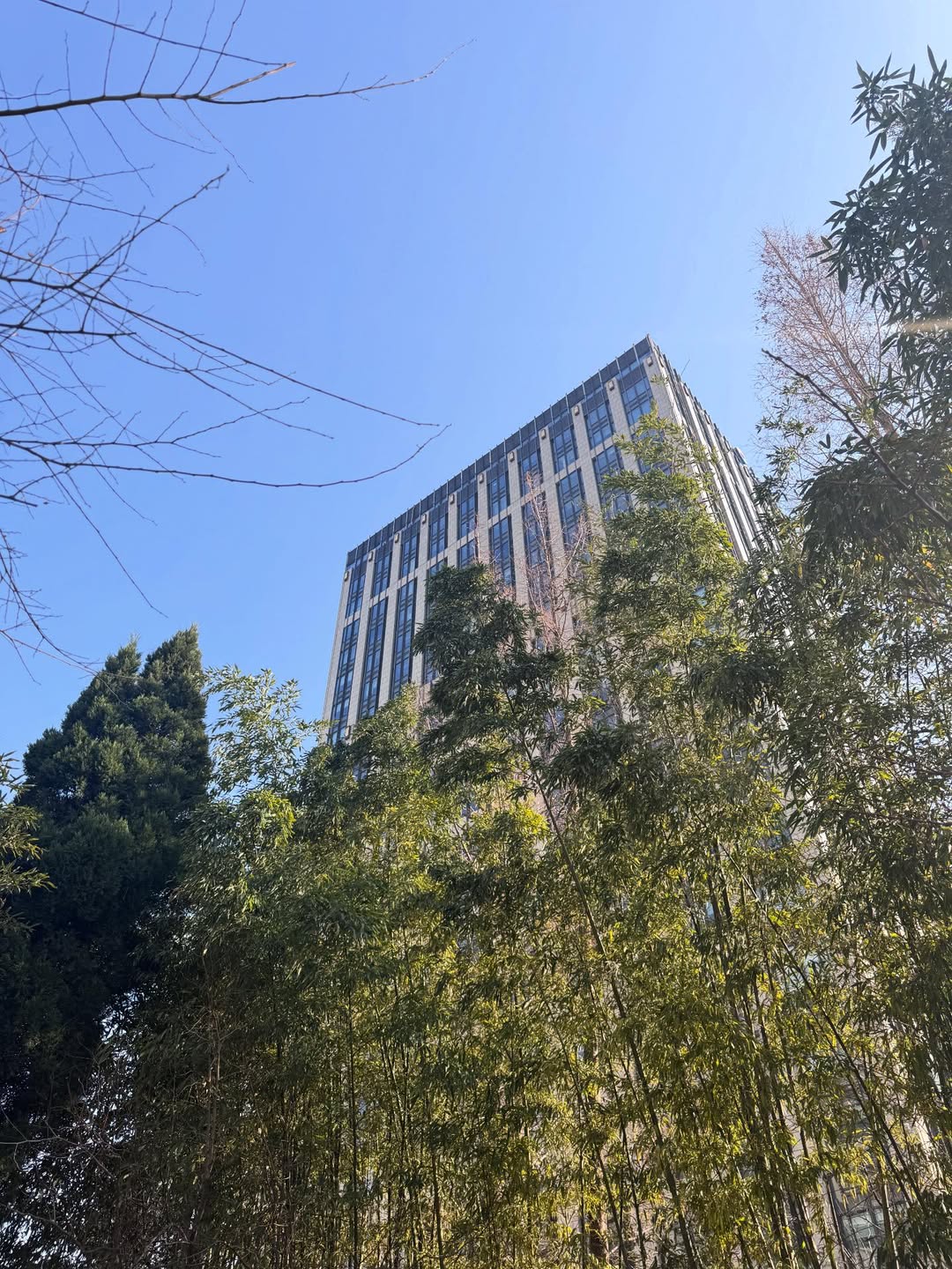 จินนี่ - ณัฐณิชา ประทีปนาฏศิริ