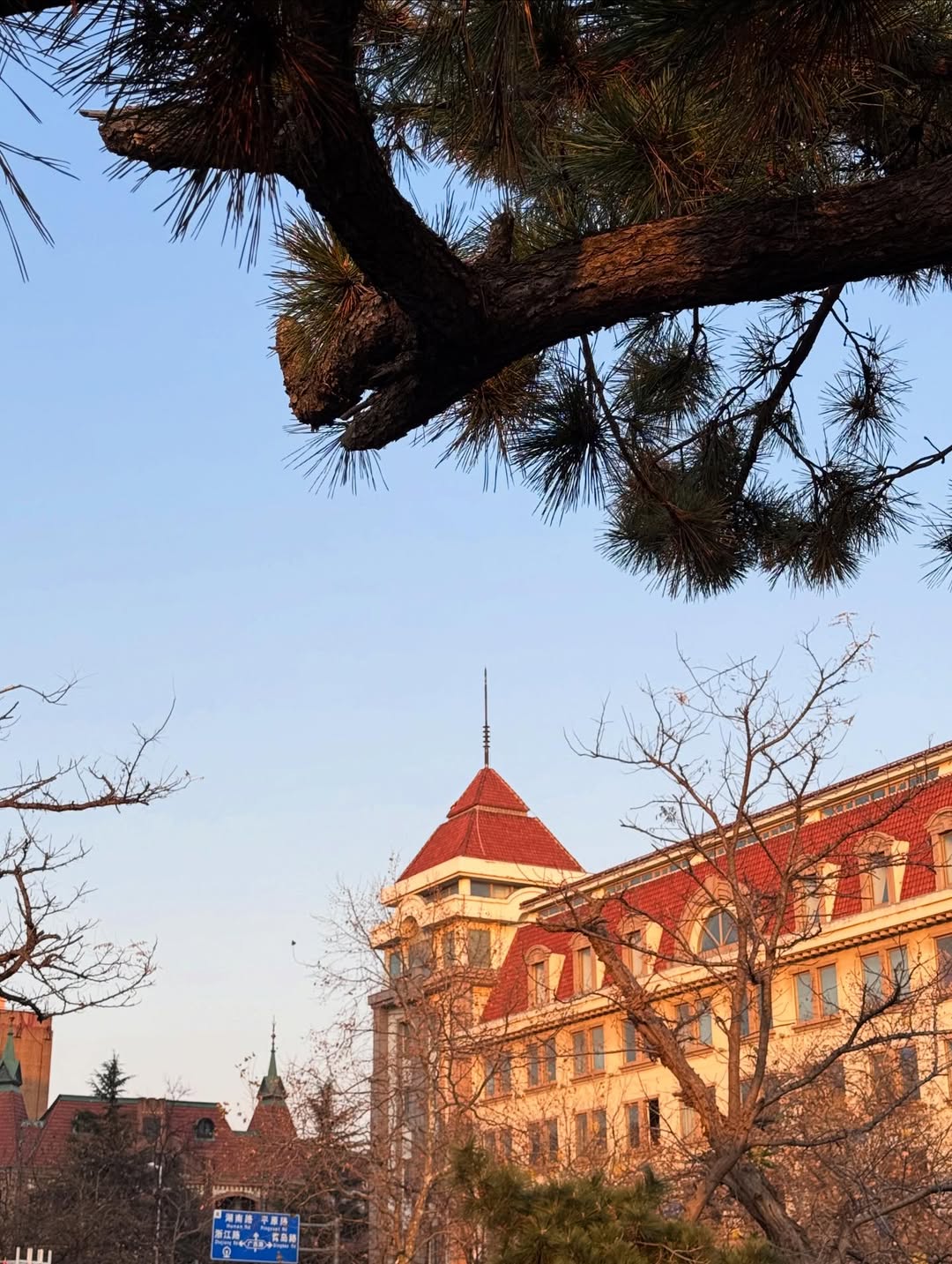 จินนี่ - ณัฐณิชา ประทีปนาฏศิริ