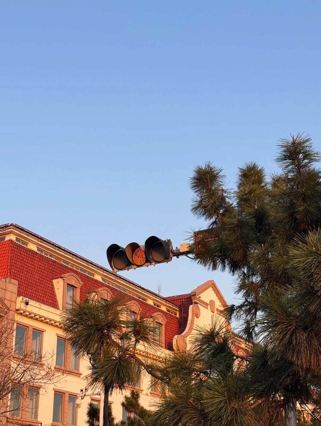 จินนี่ - ณัฐณิชา ประทีปนาฏศิริ