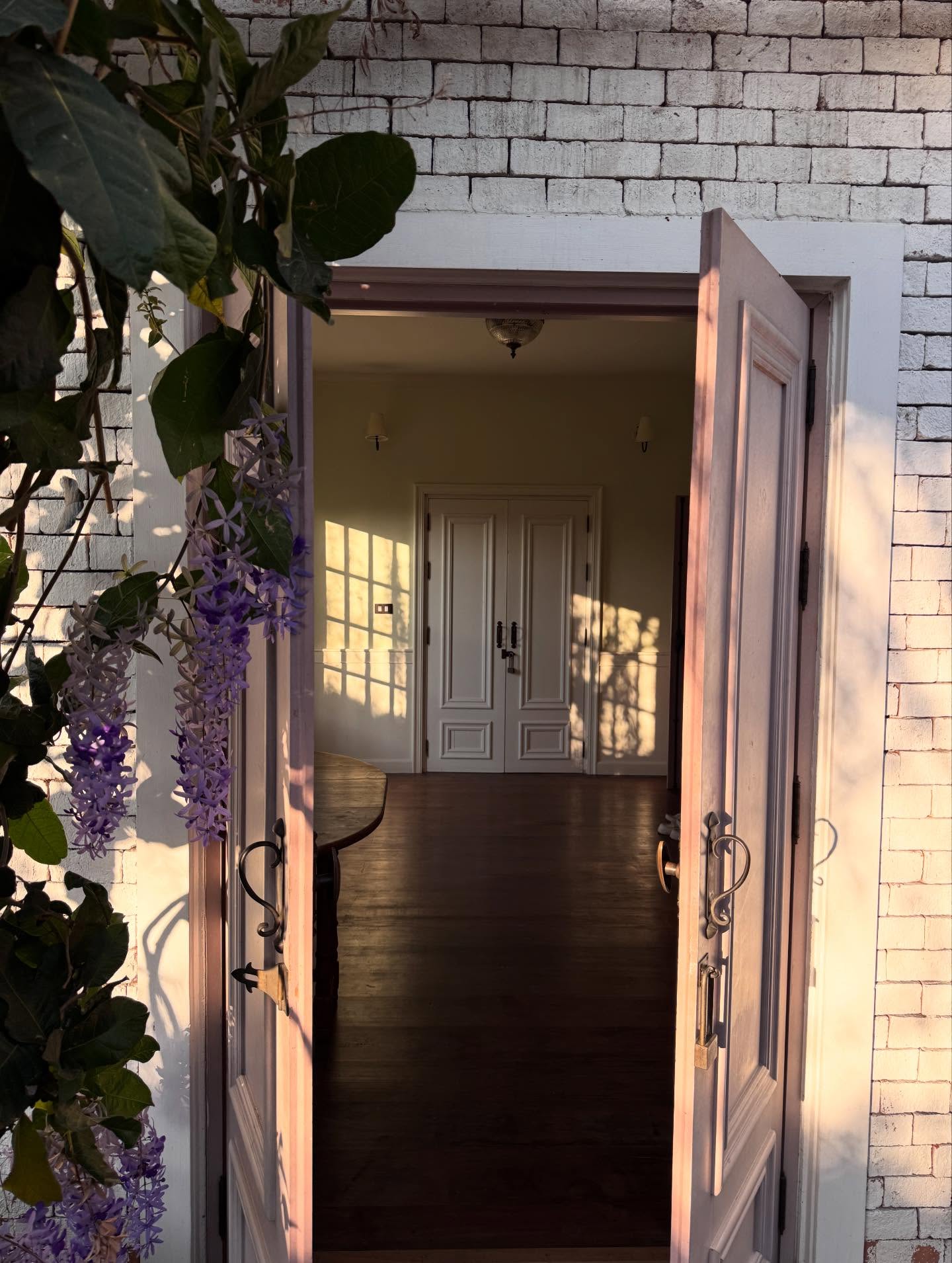 จินนี่ - ณัฐณิชา ประทีปนาฏศิริ