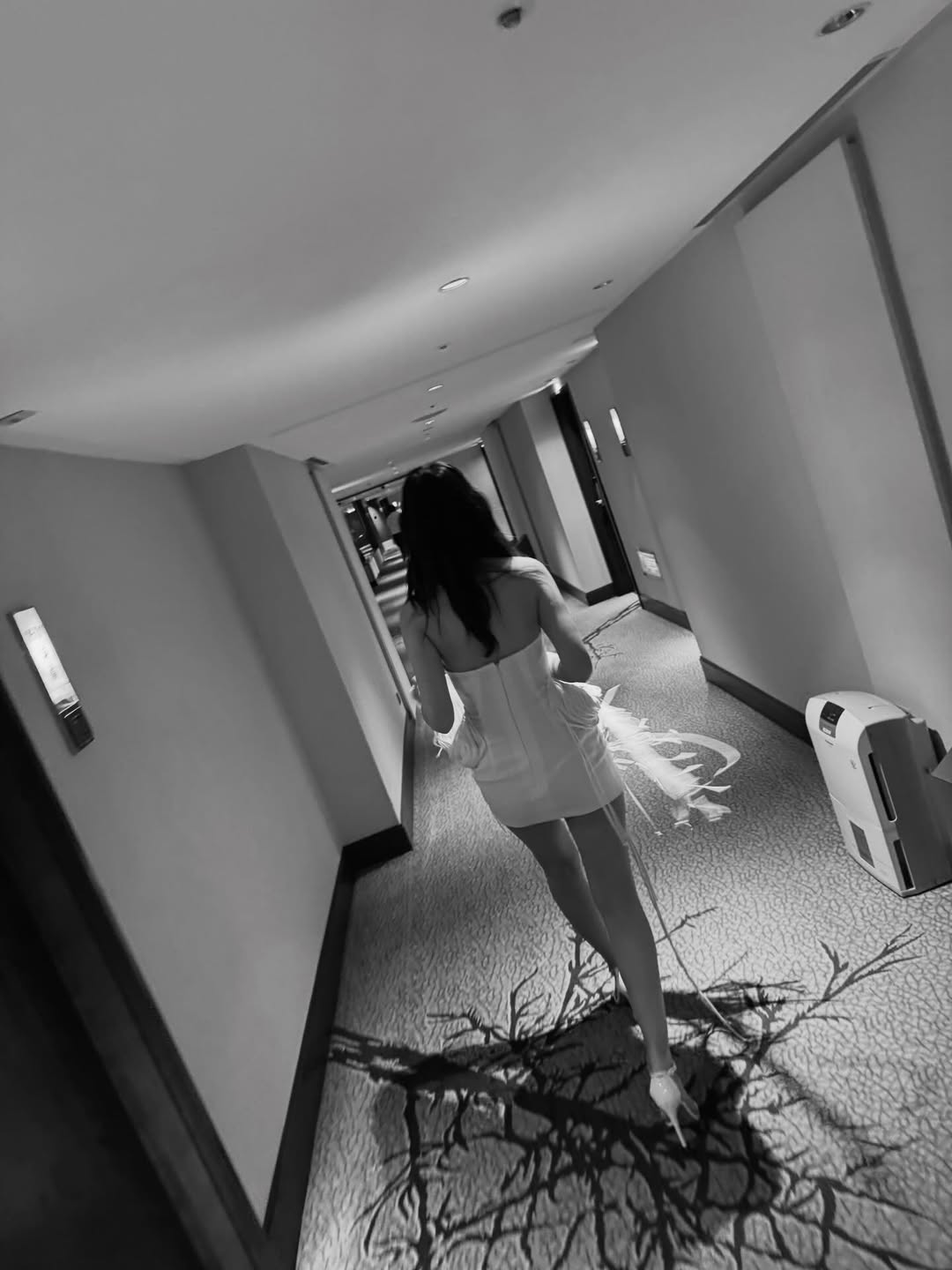 จินนี่ - ณัฐณิชา ประทีปนาฏศิริ