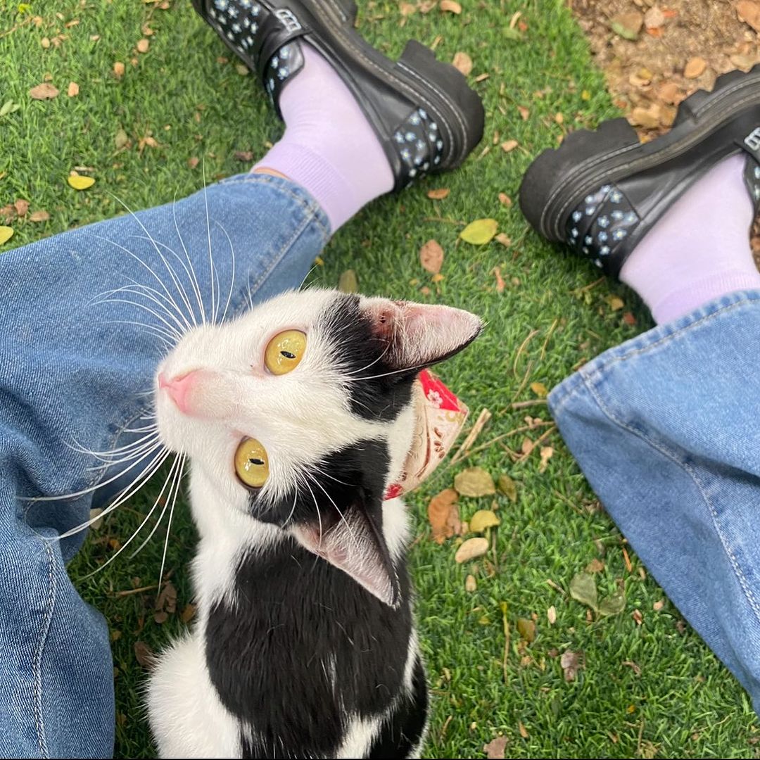 ฟอร์จูน - ปัณฑิตา คูณทวี