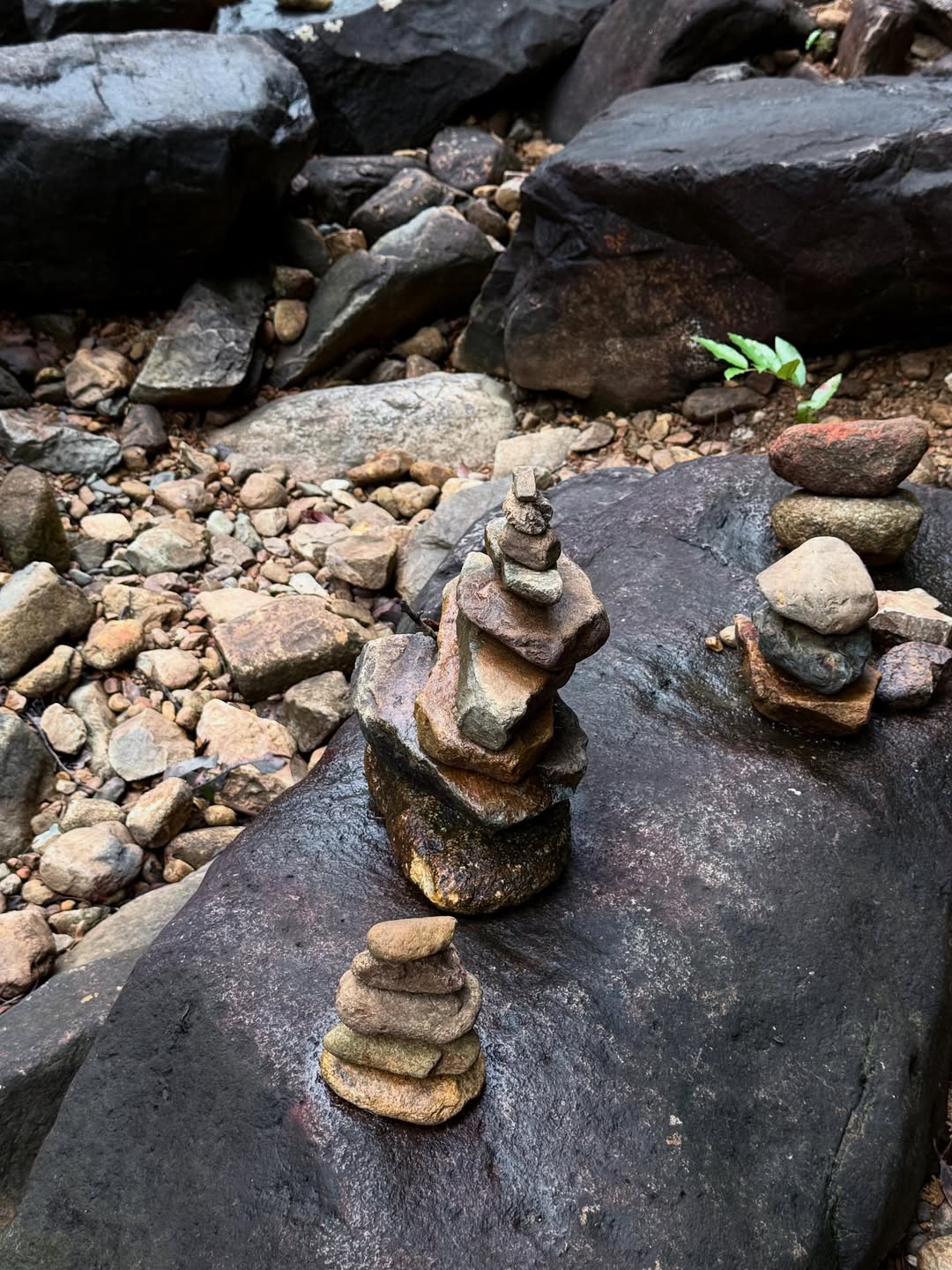 ดาว - พิมพ์ทอง วชิราคม