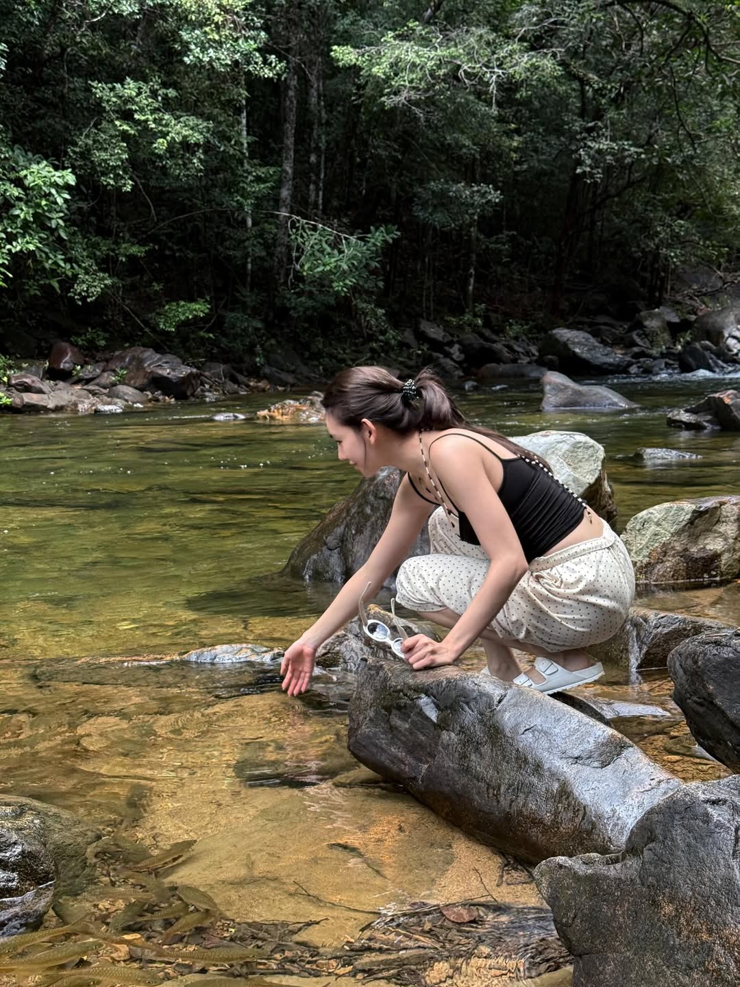 ดาว - พิมพ์ทอง วชิราคม