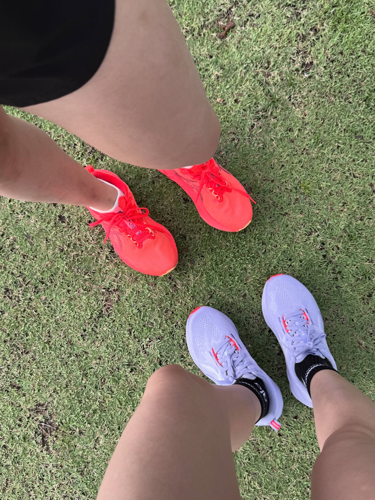 ดาว - พิมพ์ทอง วชิราคม