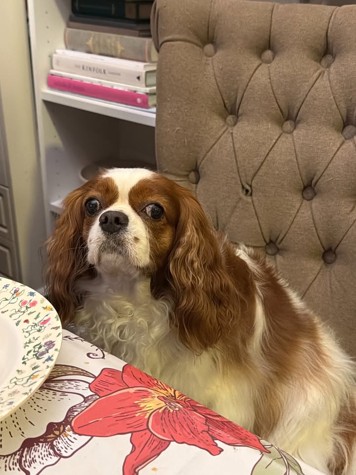 ดาว - พิมพ์ทอง วชิราคม