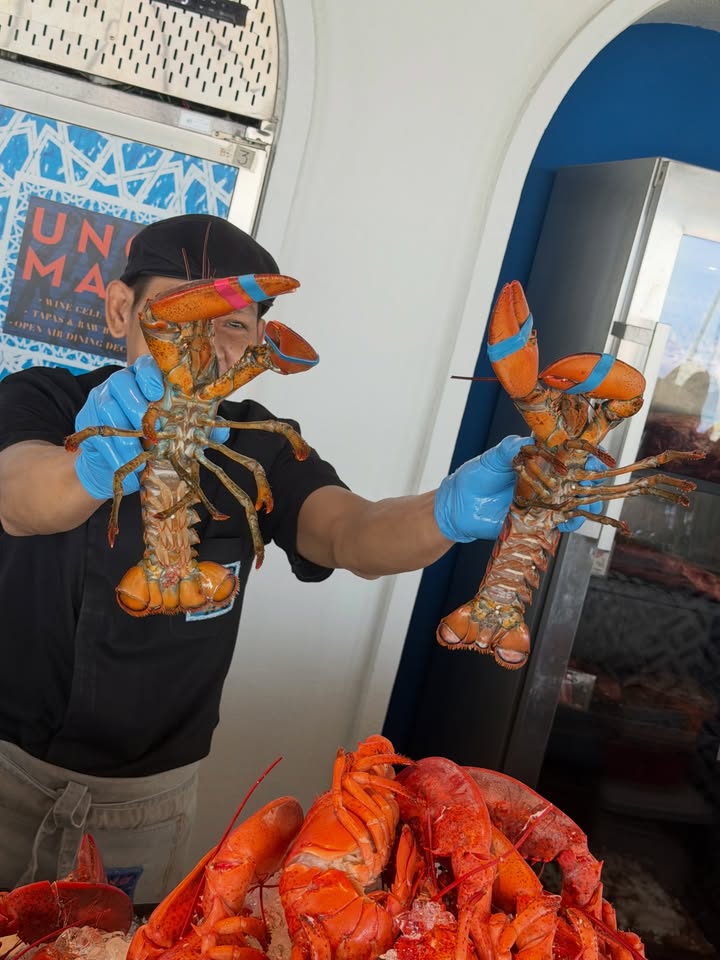 ดาว - พิมพ์ทอง วชิราคม