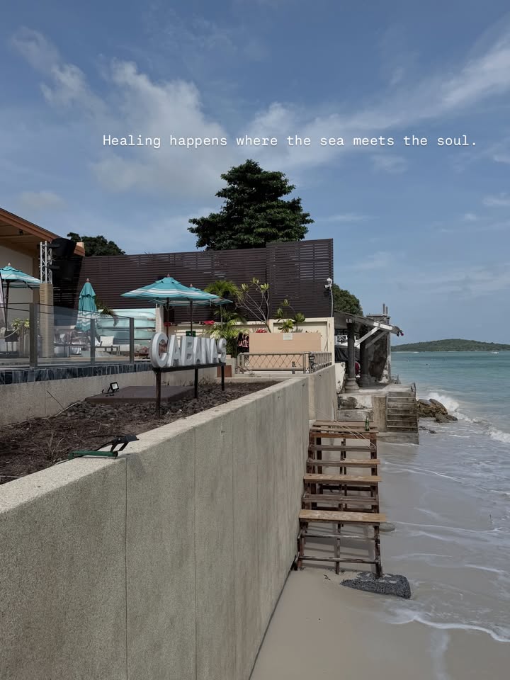 ดาว - พิมพ์ทอง วชิราคม