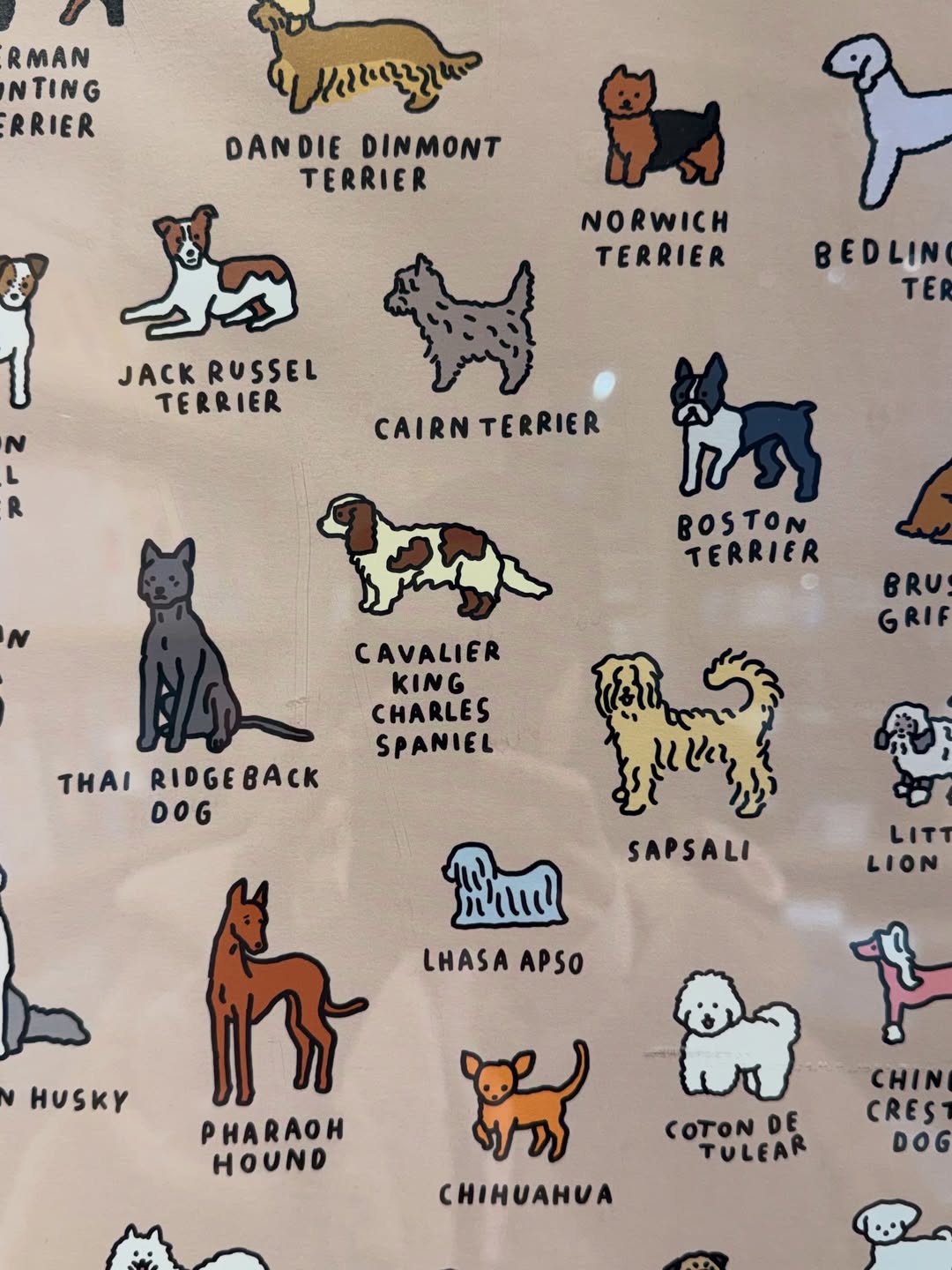 ดาว - พิมพ์ทอง วชิราคม