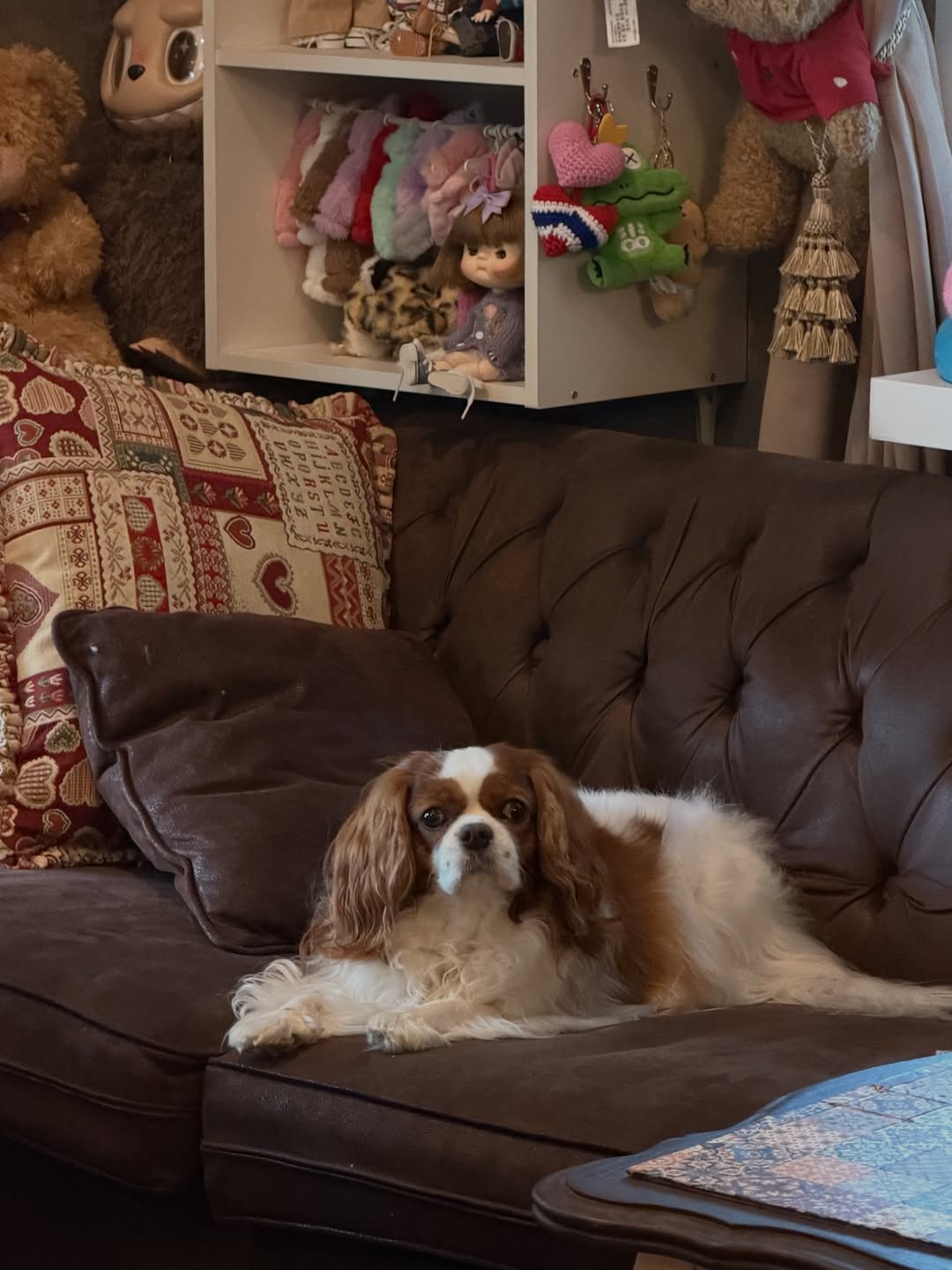 ดาว - พิมพ์ทอง วชิราคม