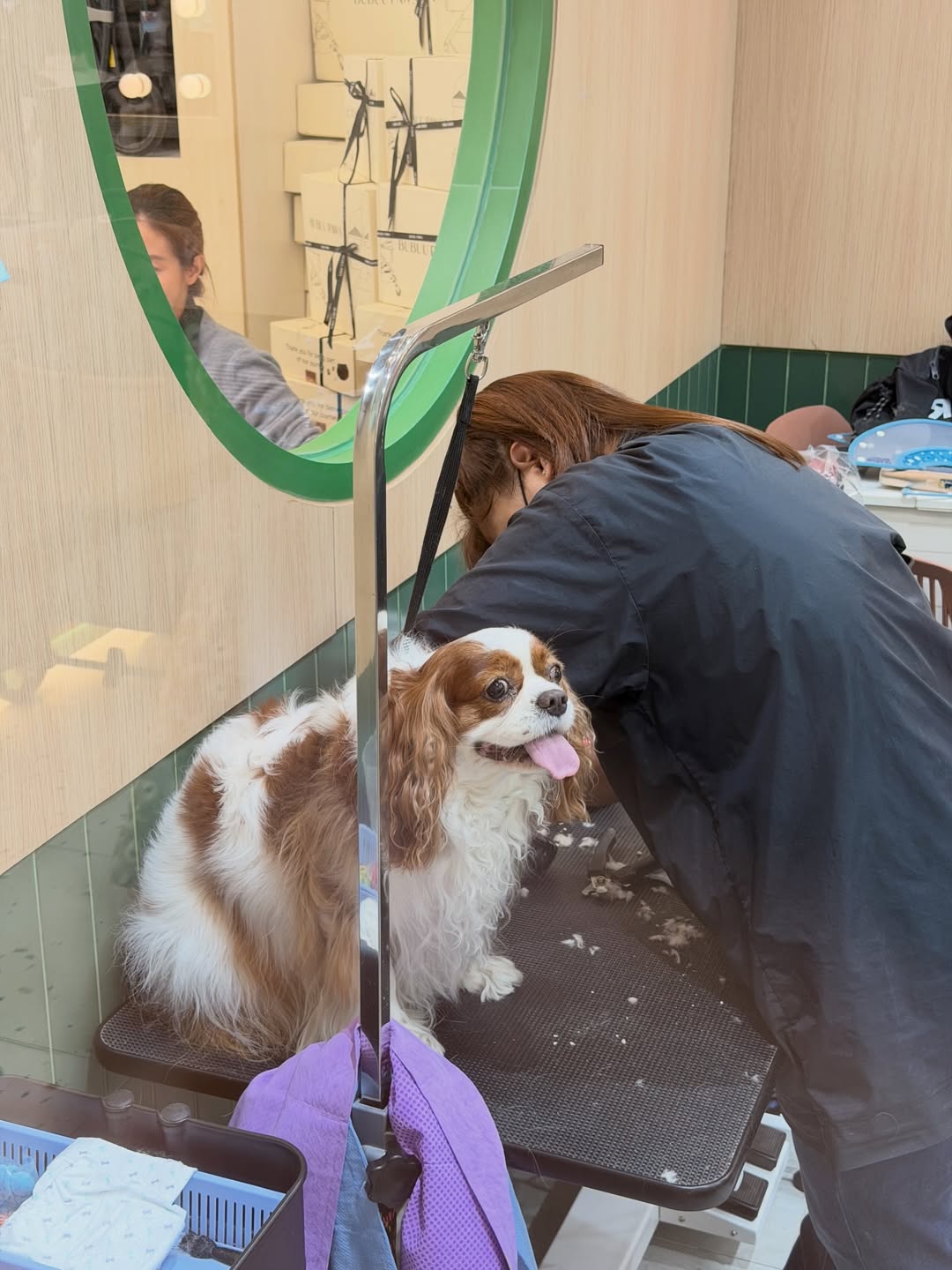 ดาว - พิมพ์ทอง วชิราคม