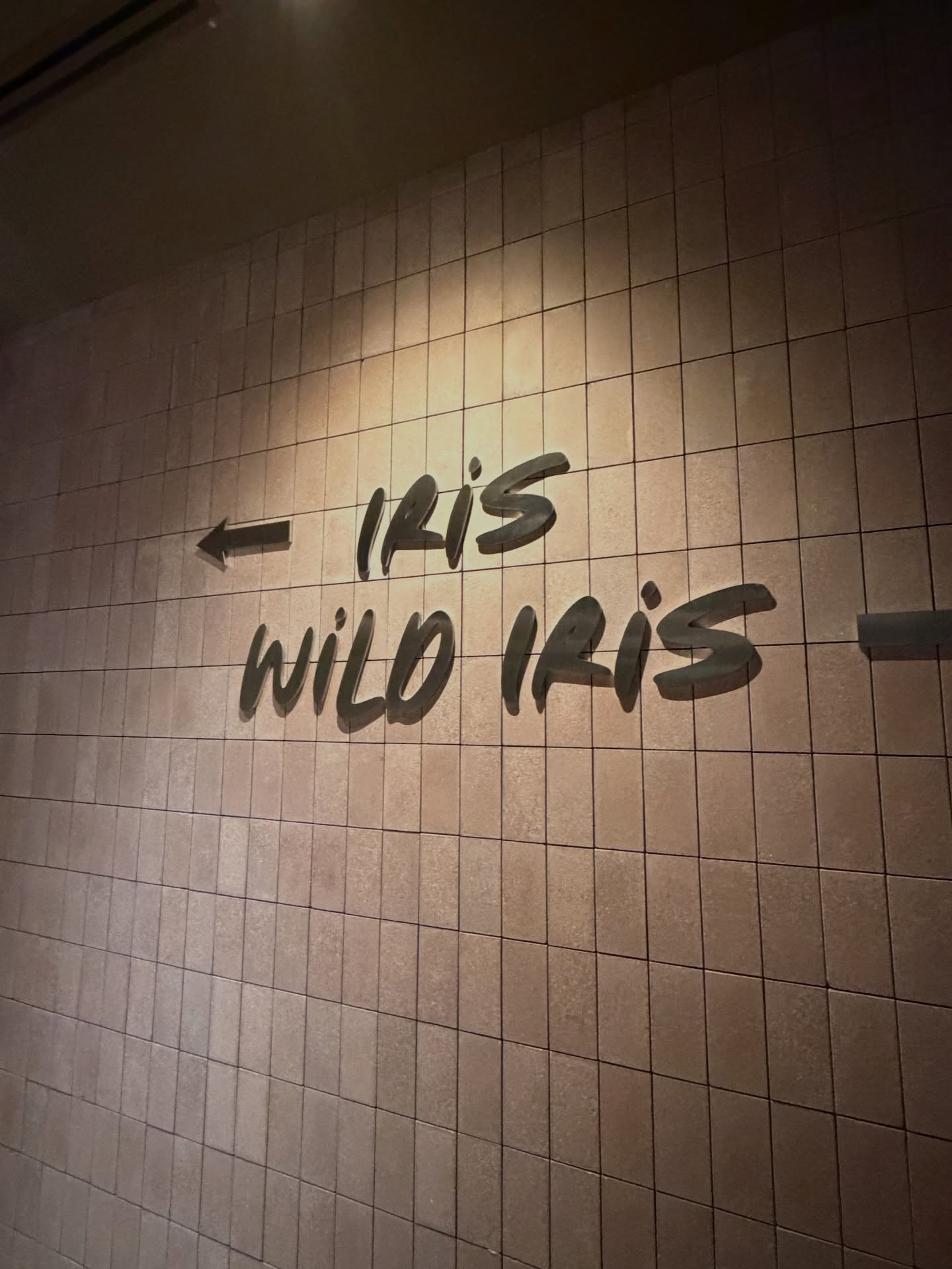 ดาว - พิมพ์ทอง วชิราคม