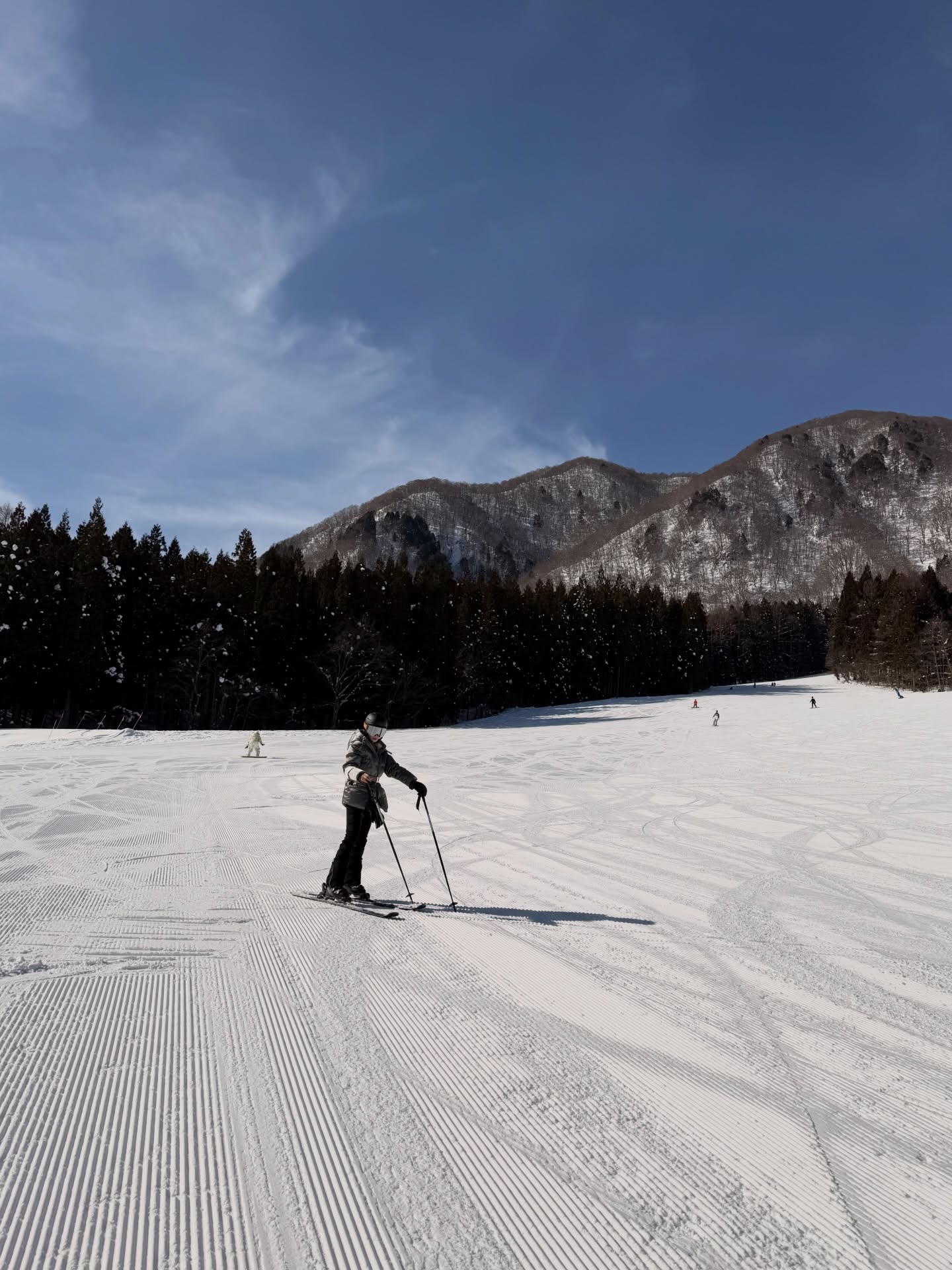 ดาว - พิมพ์ทอง วชิราคม