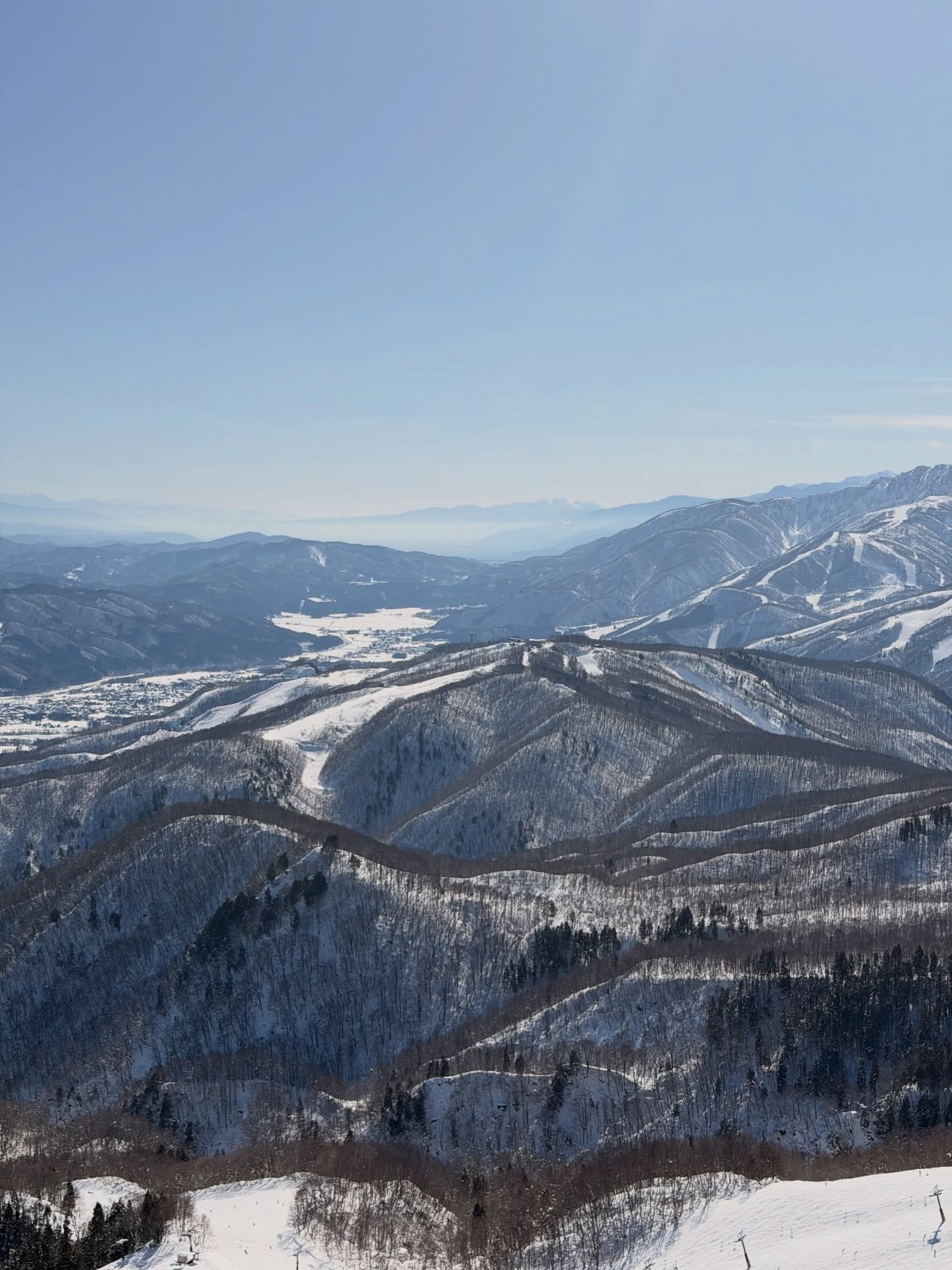 ดาว - พิมพ์ทอง วชิราคม