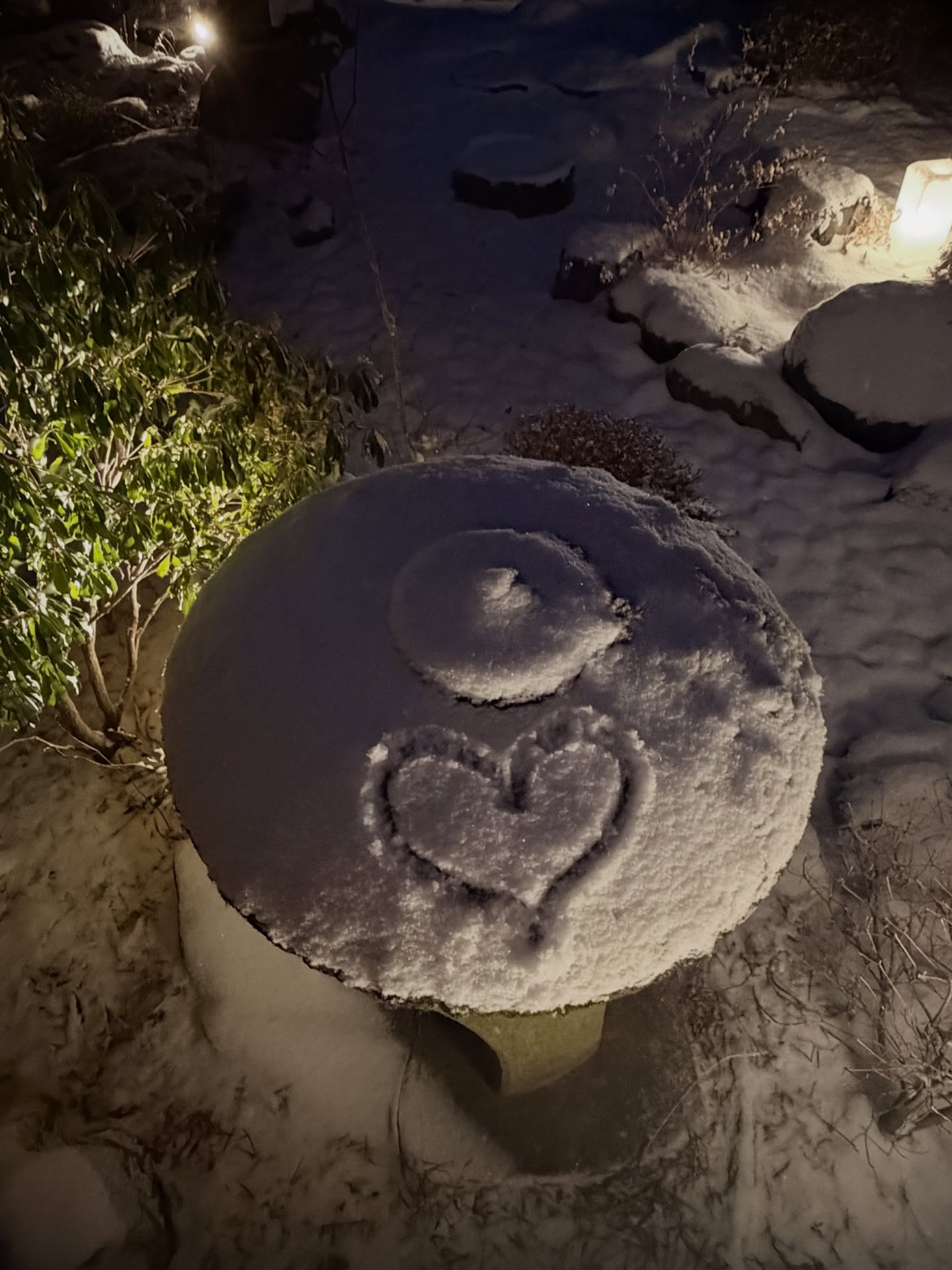 ดาว - พิมพ์ทอง วชิราคม