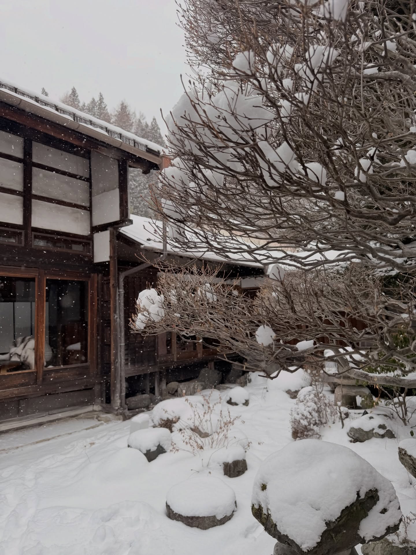 ดาว - พิมพ์ทอง วชิราคม