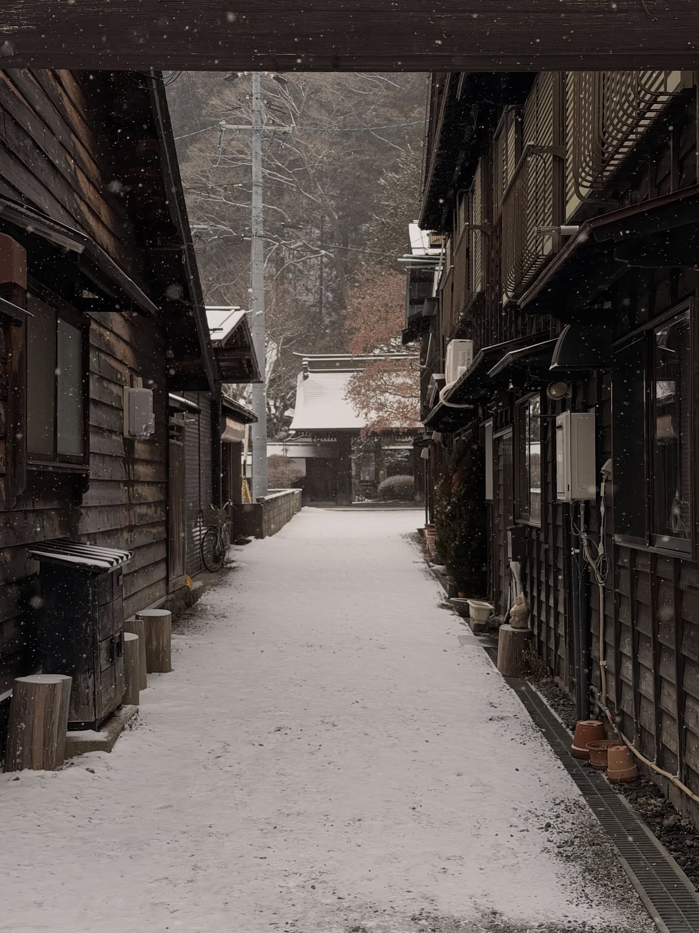 ดาว - พิมพ์ทอง วชิราคม