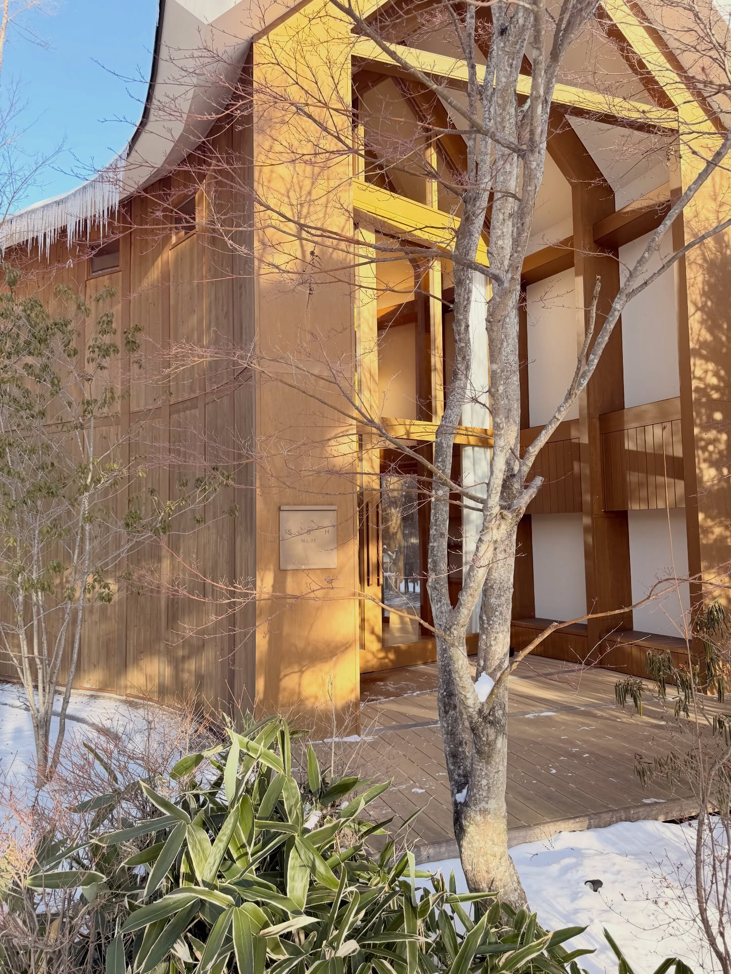 ดาว - พิมพ์ทอง วชิราคม