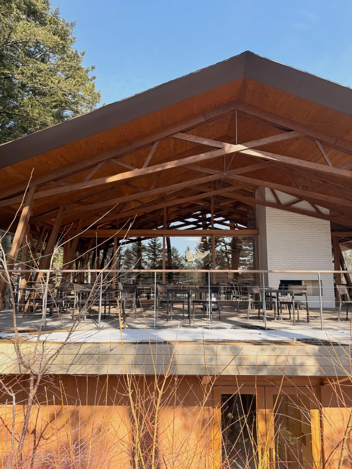 ดาว - พิมพ์ทอง วชิราคม