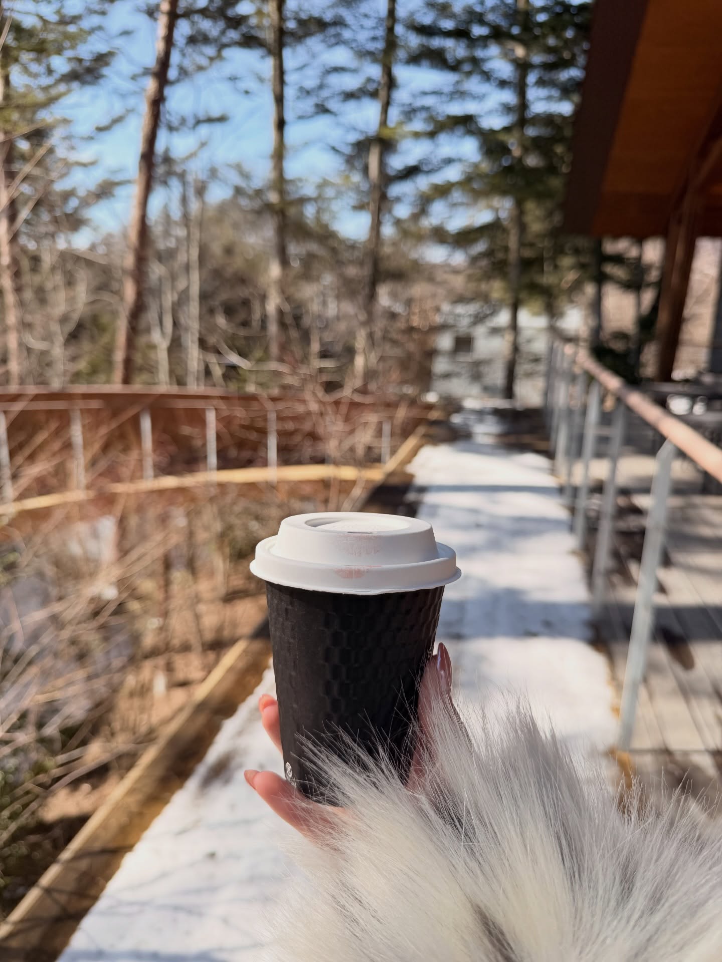 ดาว - พิมพ์ทอง วชิราคม