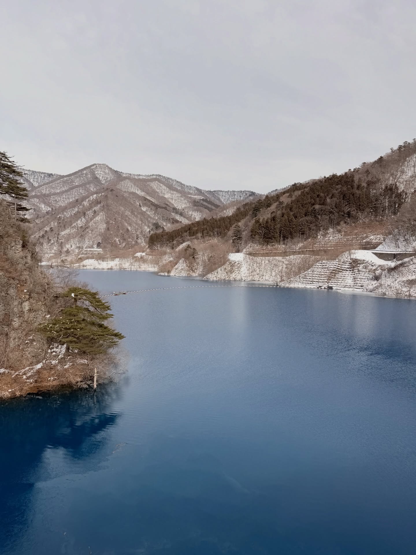 ดาว - พิมพ์ทอง วชิราคม