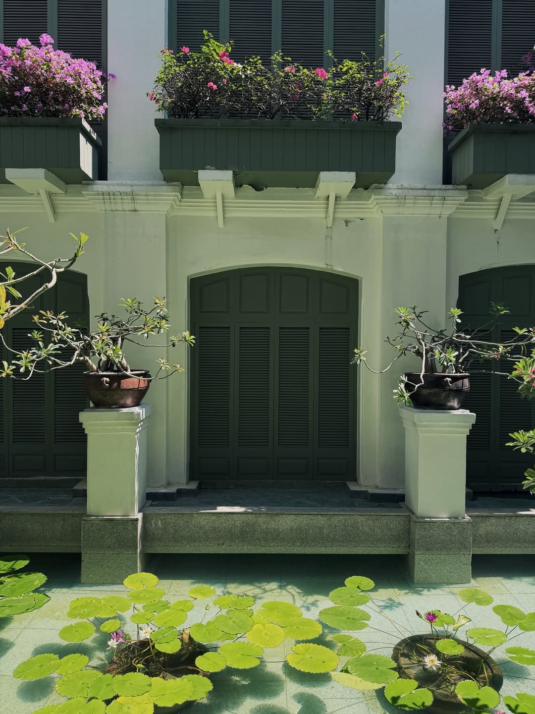 ดาว - พิมพ์ทอง วชิราคม