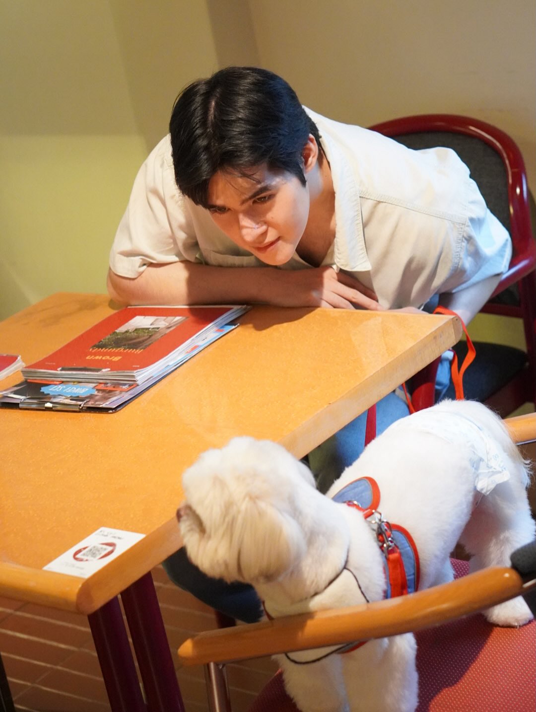 เฟริสท์ - ภาราดา ชัชวาลโชติกุล