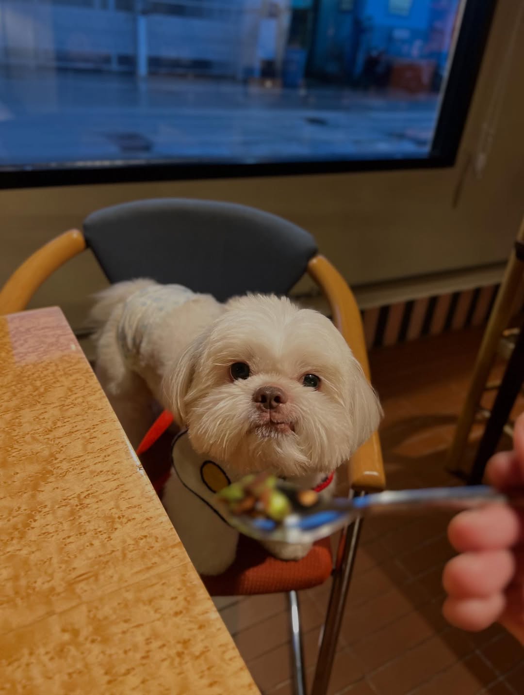 เฟริสท์ - ภาราดา ชัชวาลโชติกุล