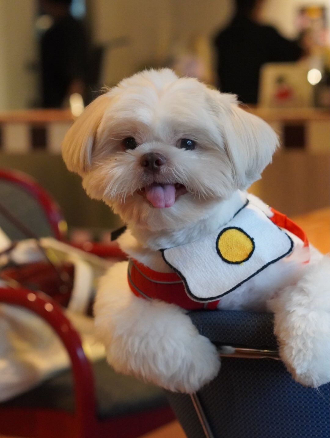 เฟริสท์ - ภาราดา ชัชวาลโชติกุล