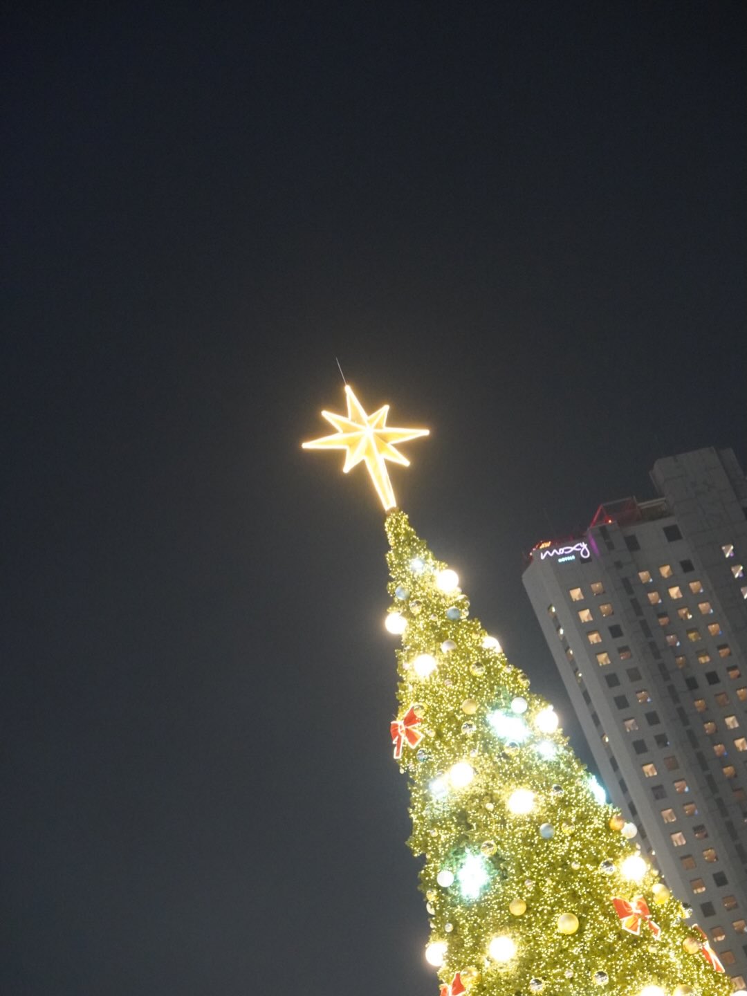 เฟริสท์ - ภาราดา ชัชวาลโชติกุล