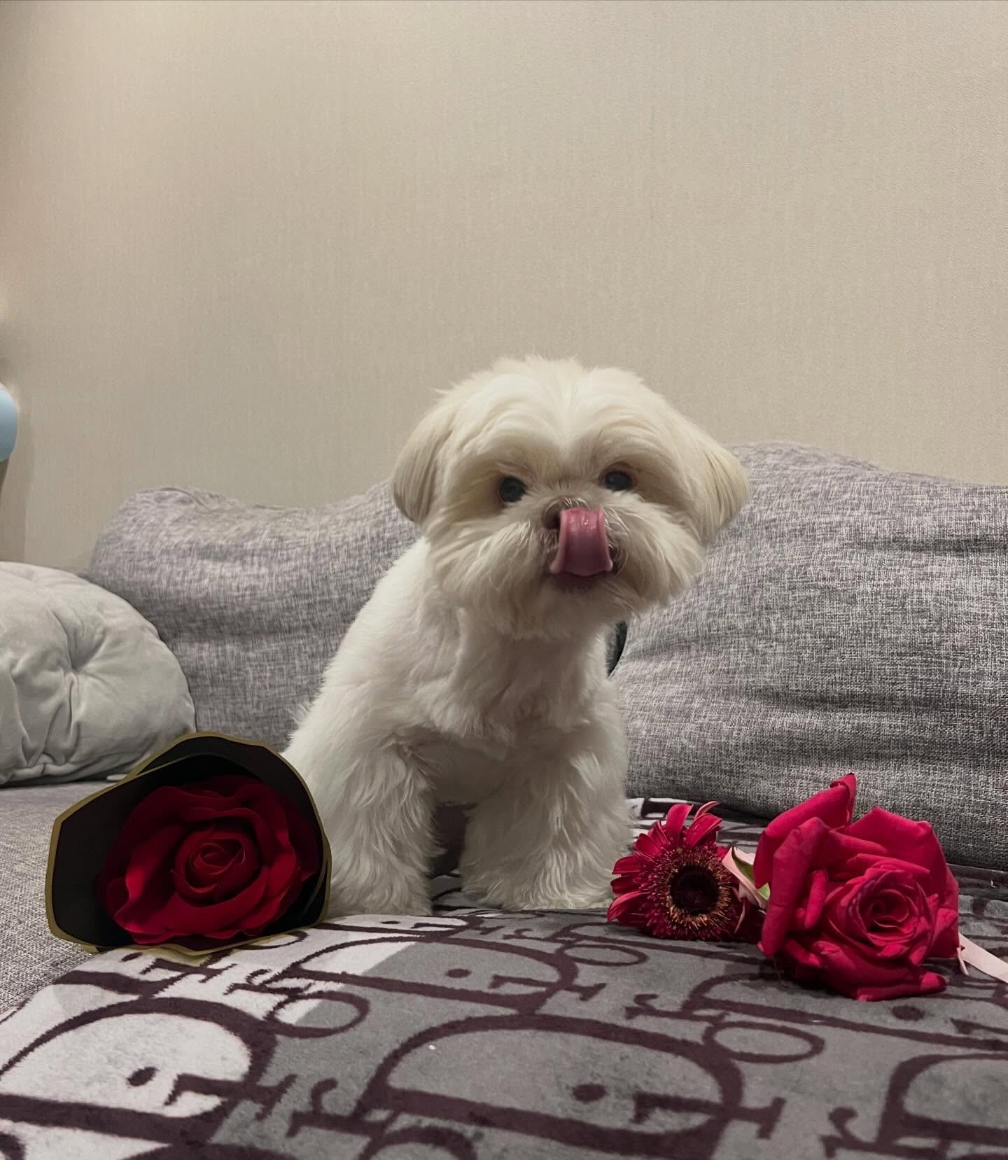 เฟริสท์ - ภาราดา ชัชวาลโชติกุล