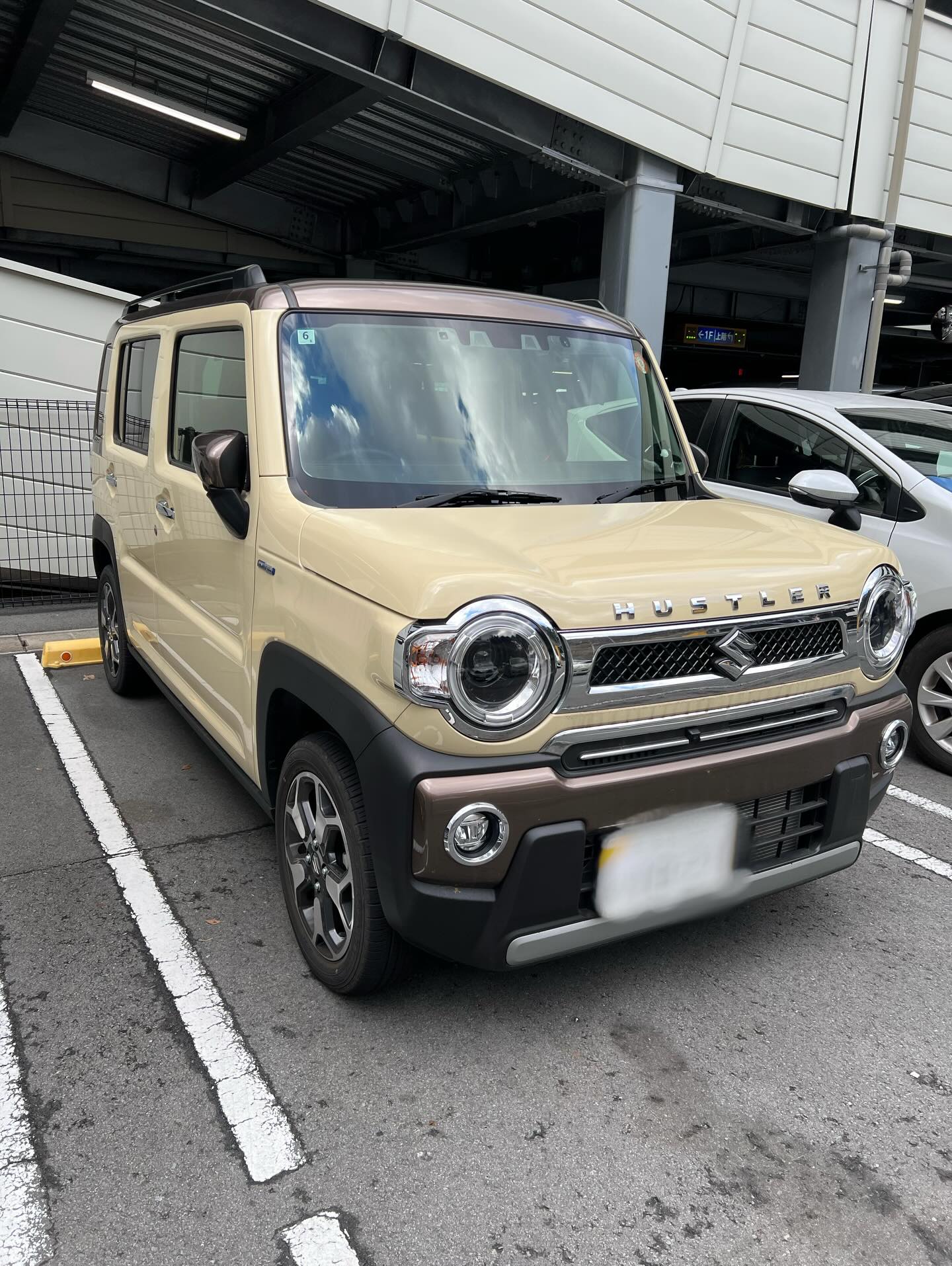 เจ็ท - ภัทร์ไพบูลย์ โอภาสสุวรรณ