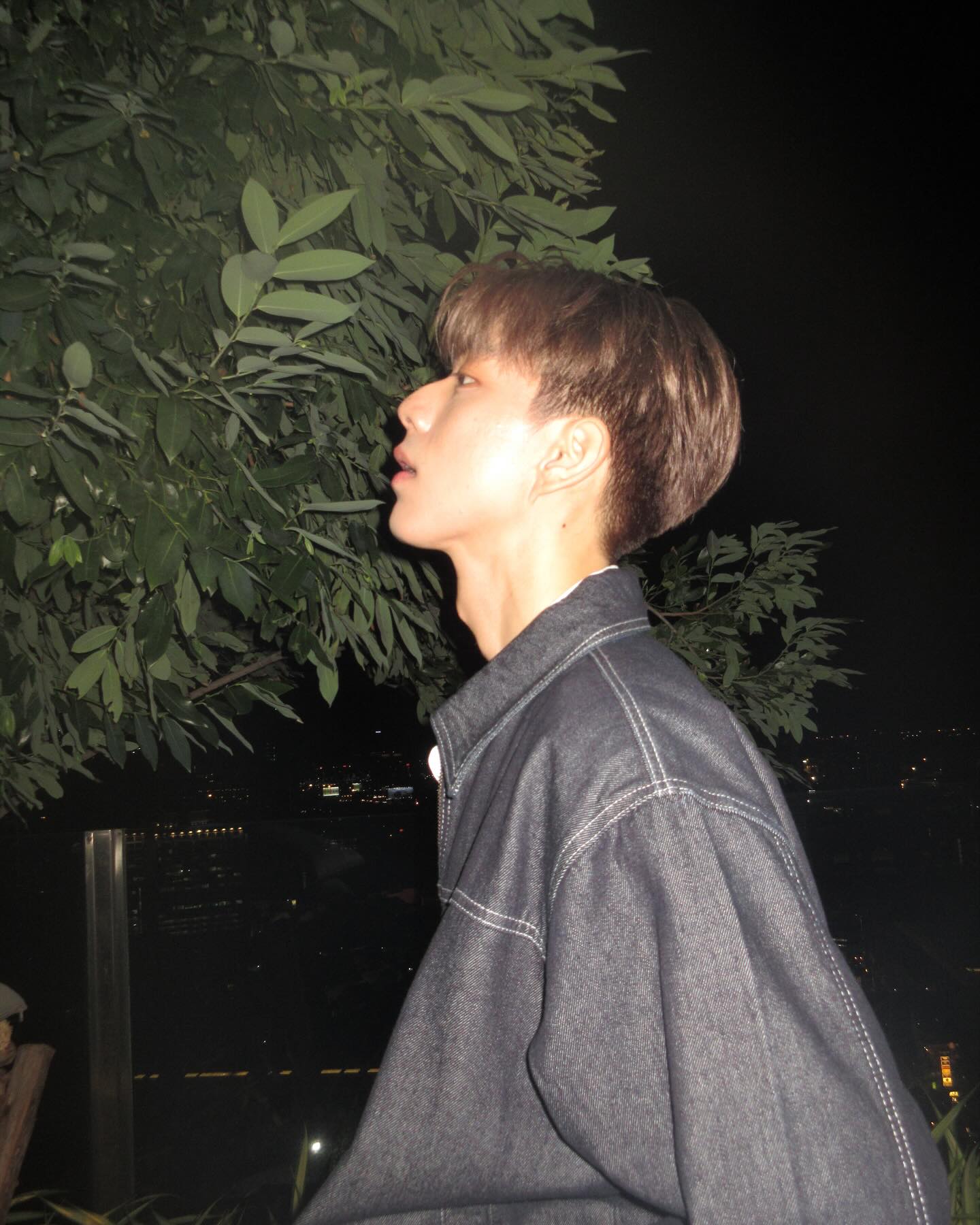 ไบร์ท - นรภัทร วิไลพันธุ์