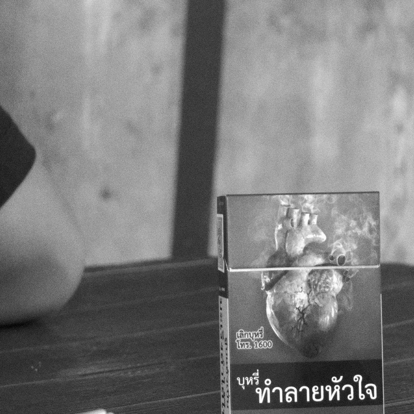 ไบร์ท - นรภัทร วิไลพันธุ์