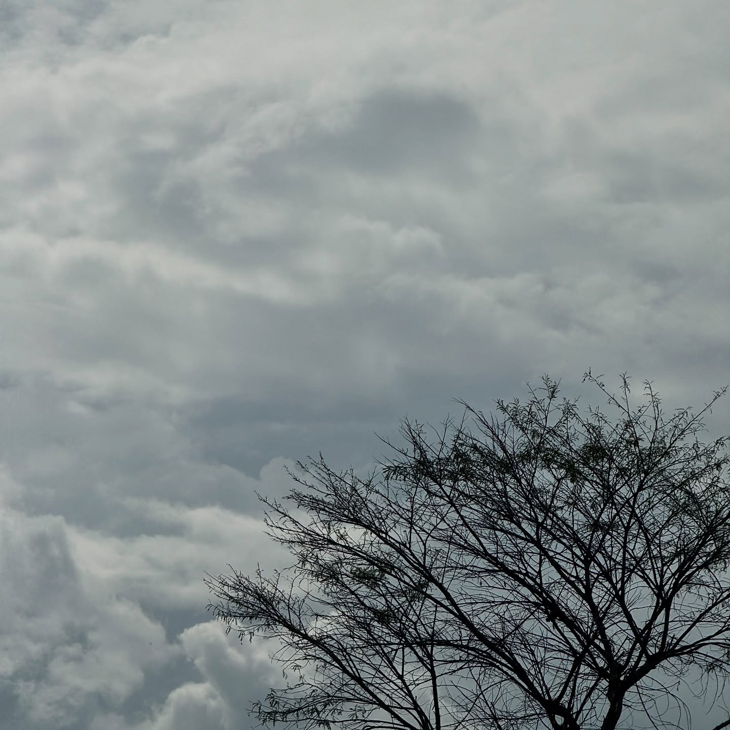 ไบร์ท - นรภัทร วิไลพันธุ์
