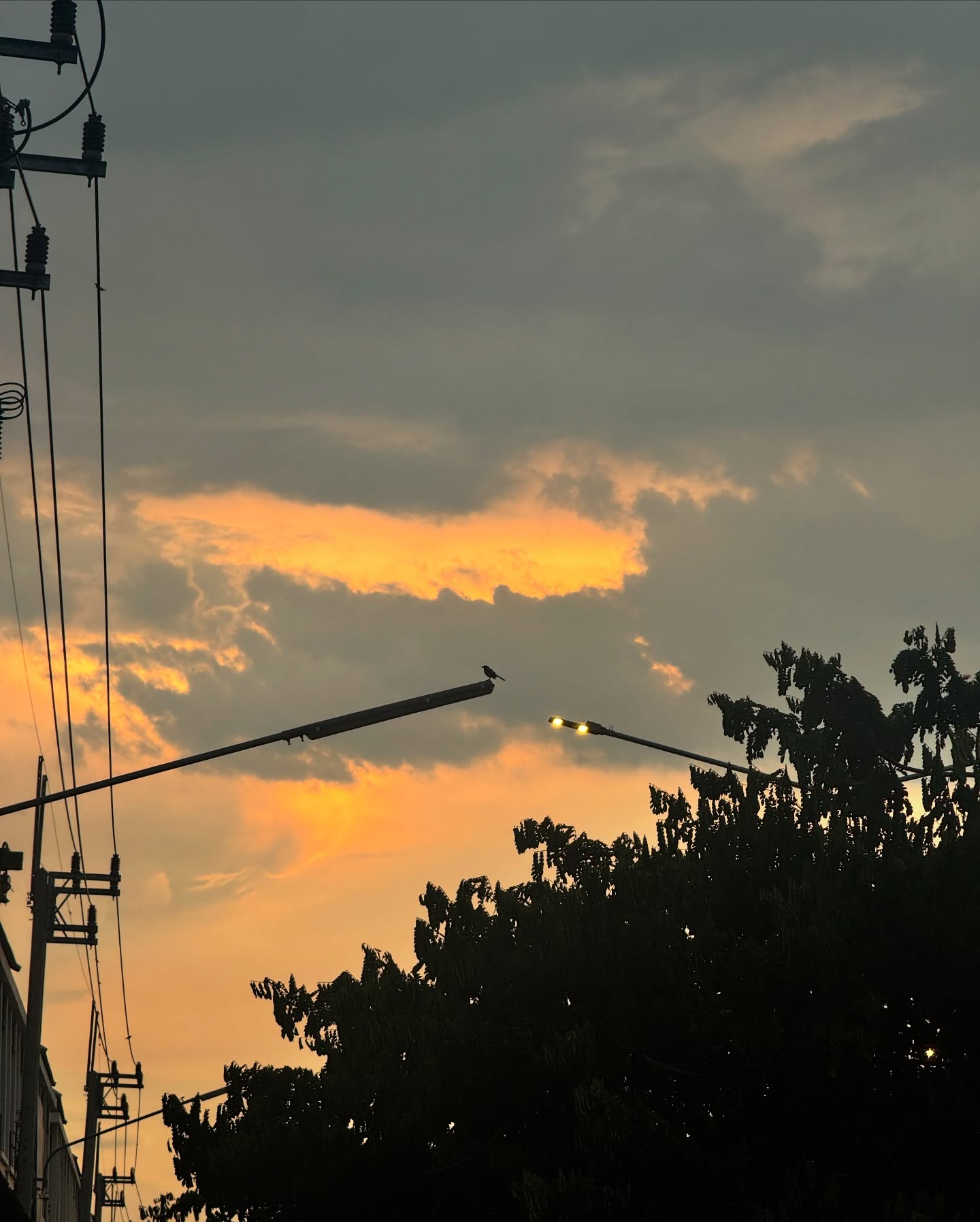 ไบร์ท - นรภัทร วิไลพันธุ์