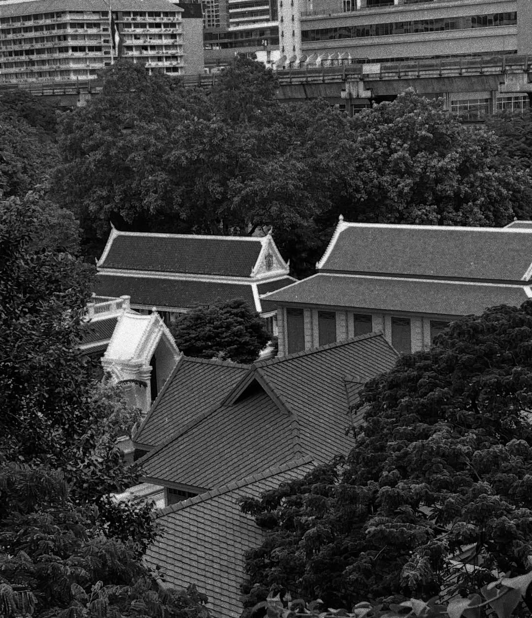 ไบร์ท - นรภัทร วิไลพันธุ์