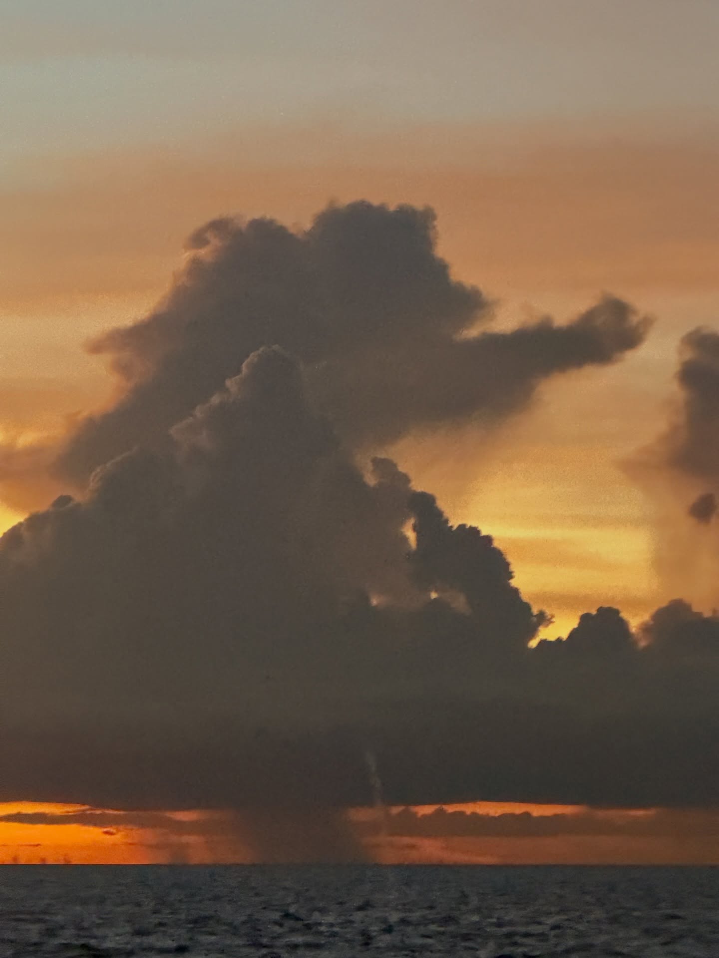 ไบร์ท - นรภัทร วิไลพันธุ์