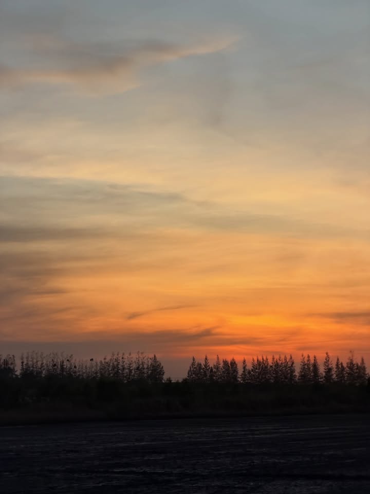 ไบร์ท - นรภัทร วิไลพันธุ์