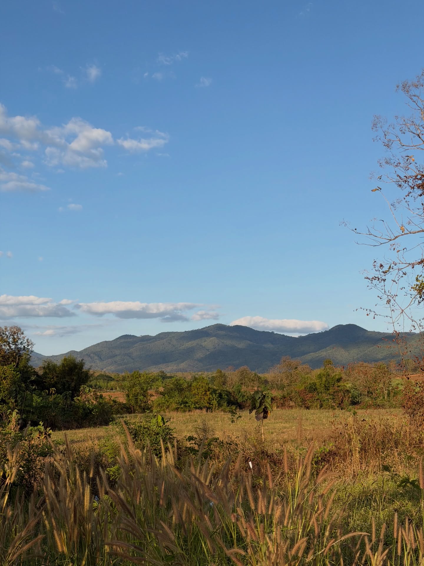 ไบร์ท - นรภัทร วิไลพันธุ์