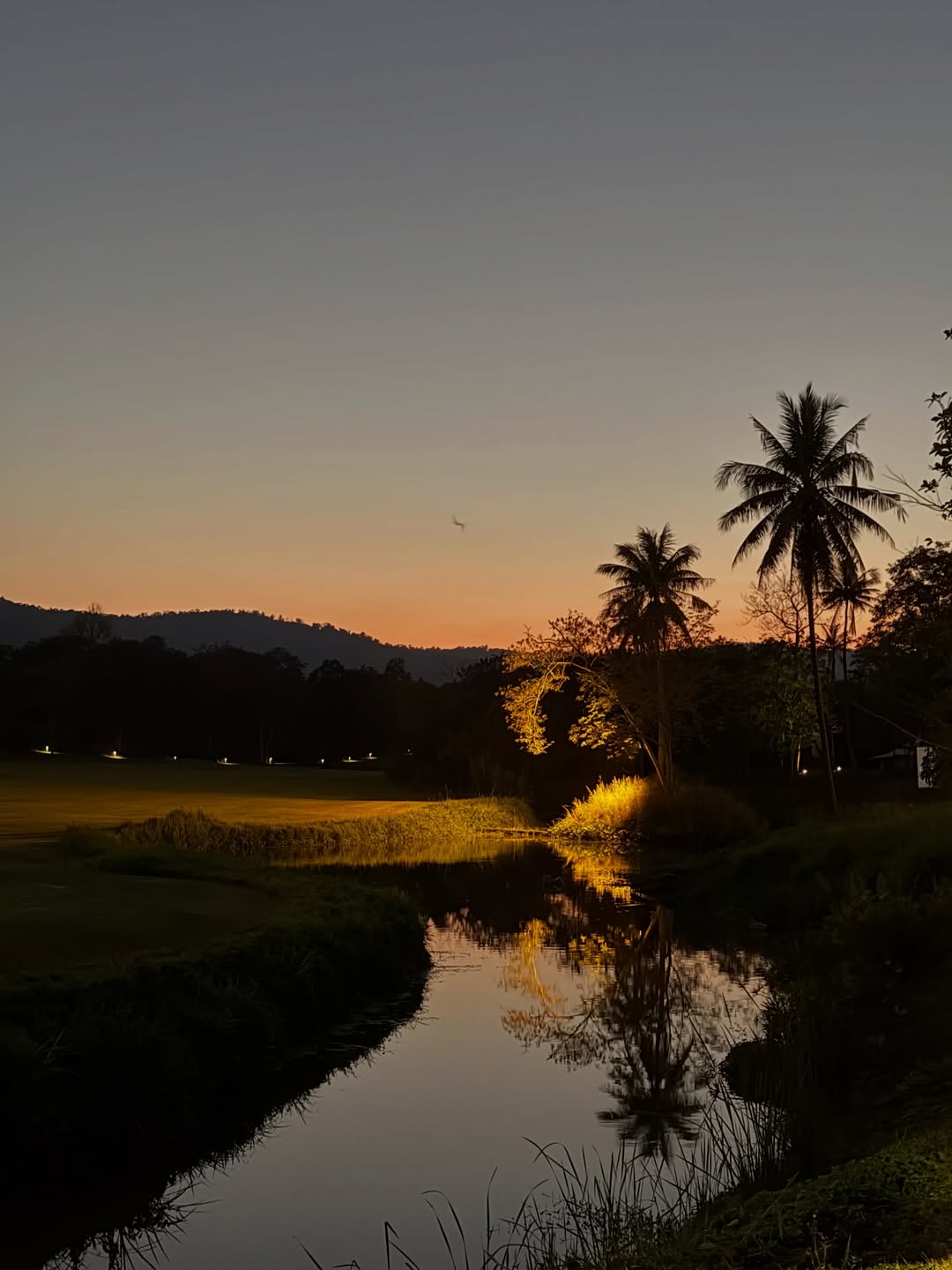 ไบร์ท - นรภัทร วิไลพันธุ์