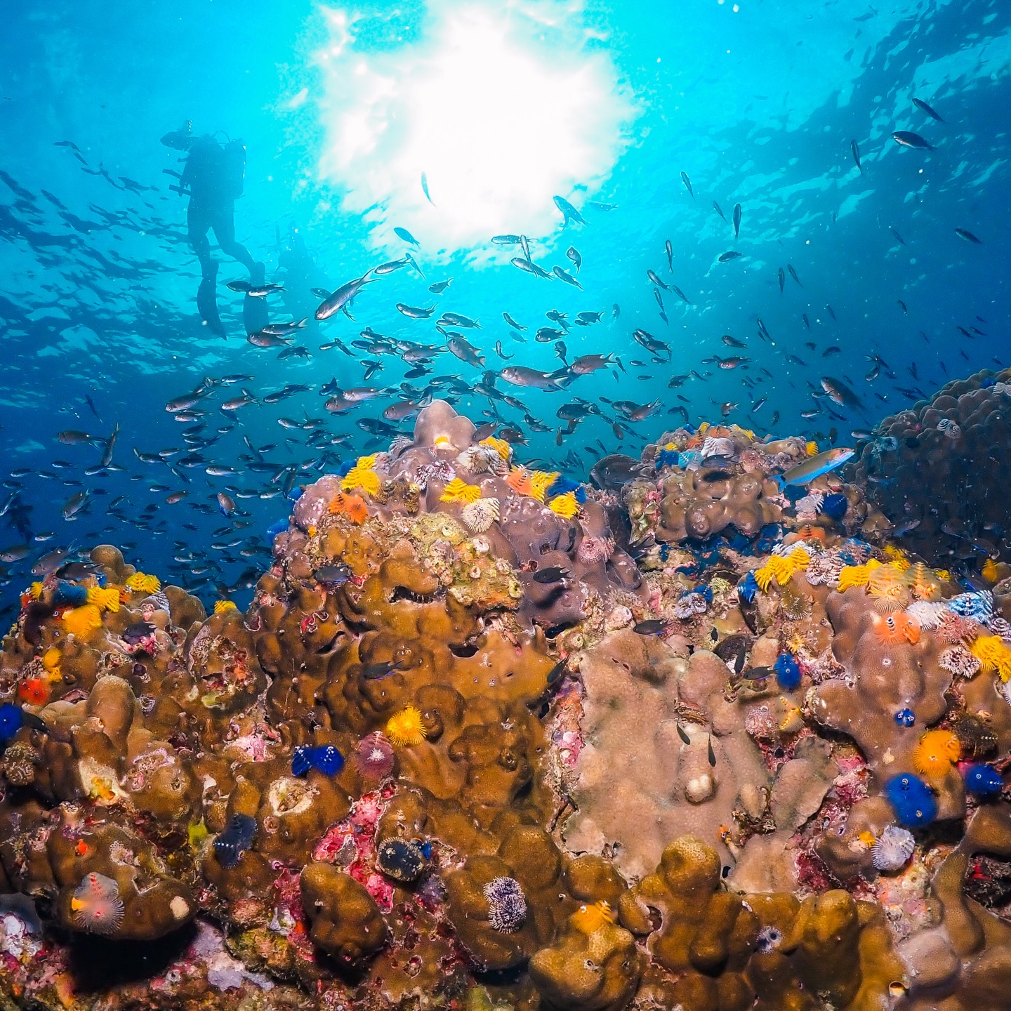 ไบร์ท - นรภัทร วิไลพันธุ์