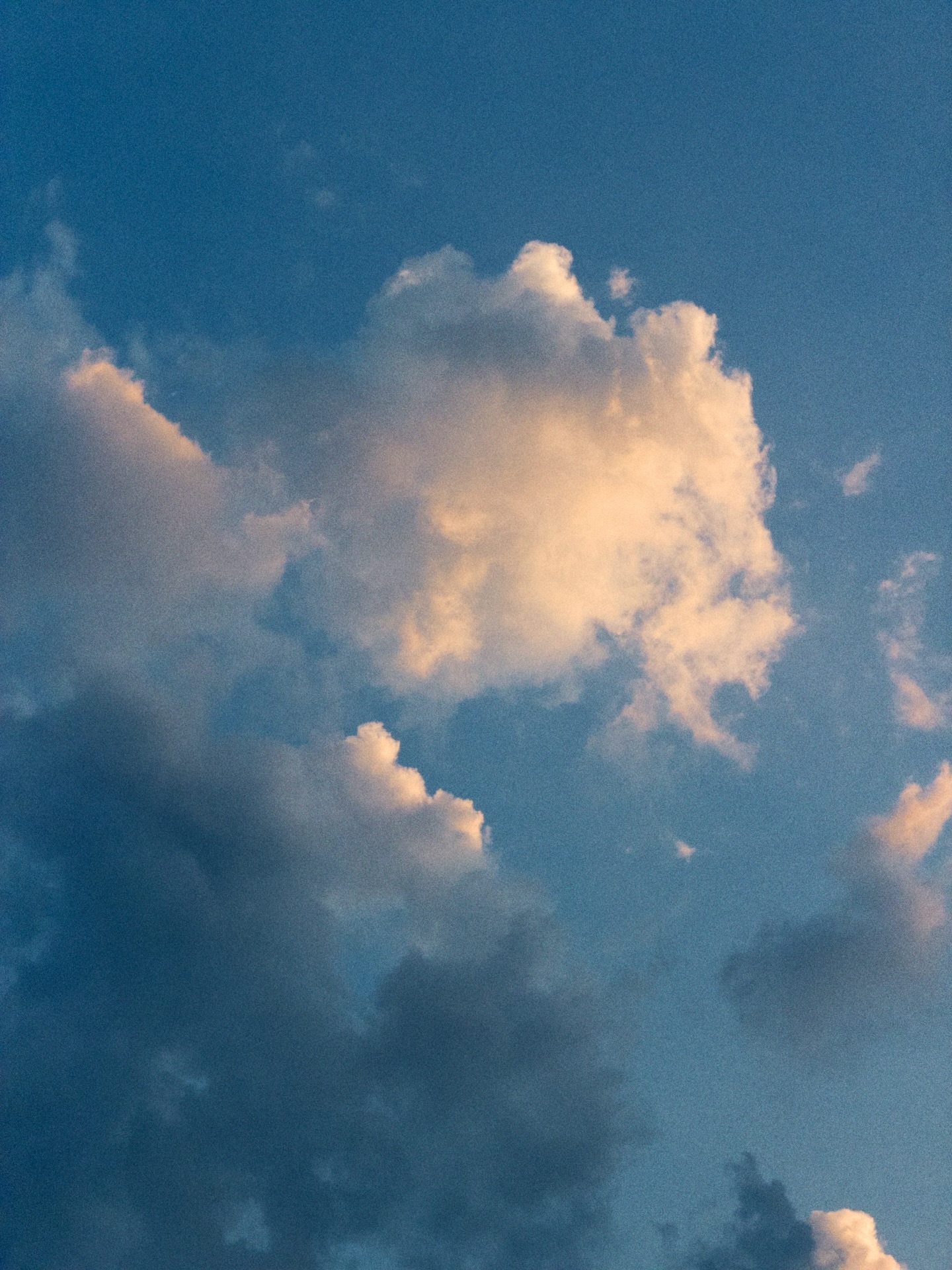 ไบร์ท - นรภัทร วิไลพันธุ์