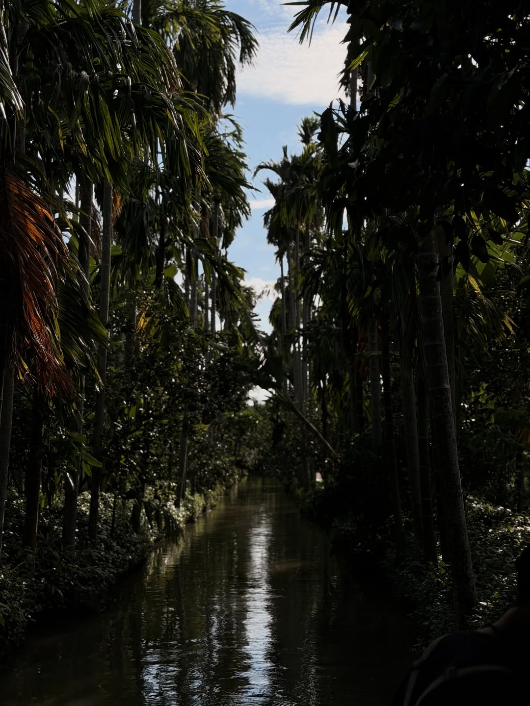 ไบร์ท - นรภัทร วิไลพันธุ์