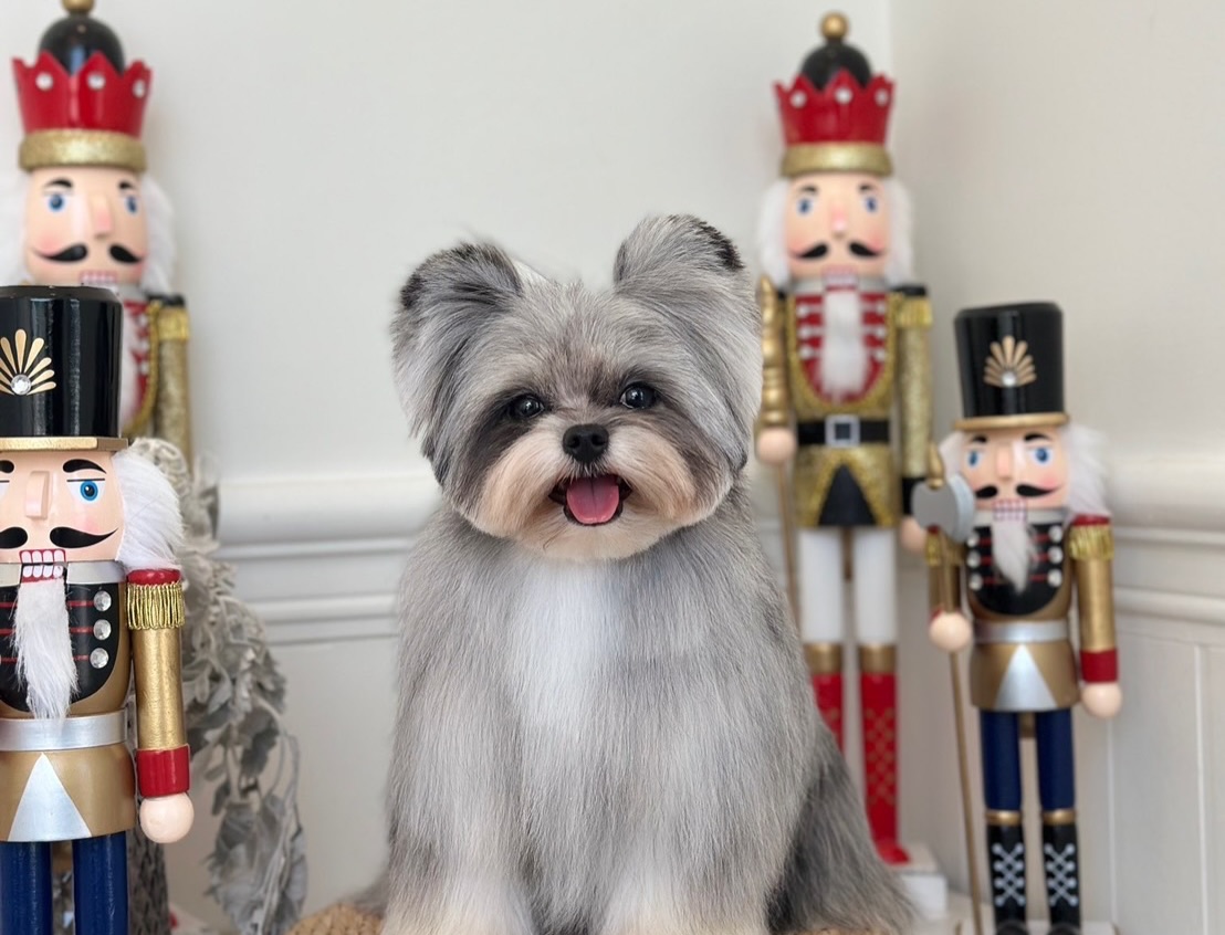 เตนล์ - ชิตพล ลี้ชัยพรกุล