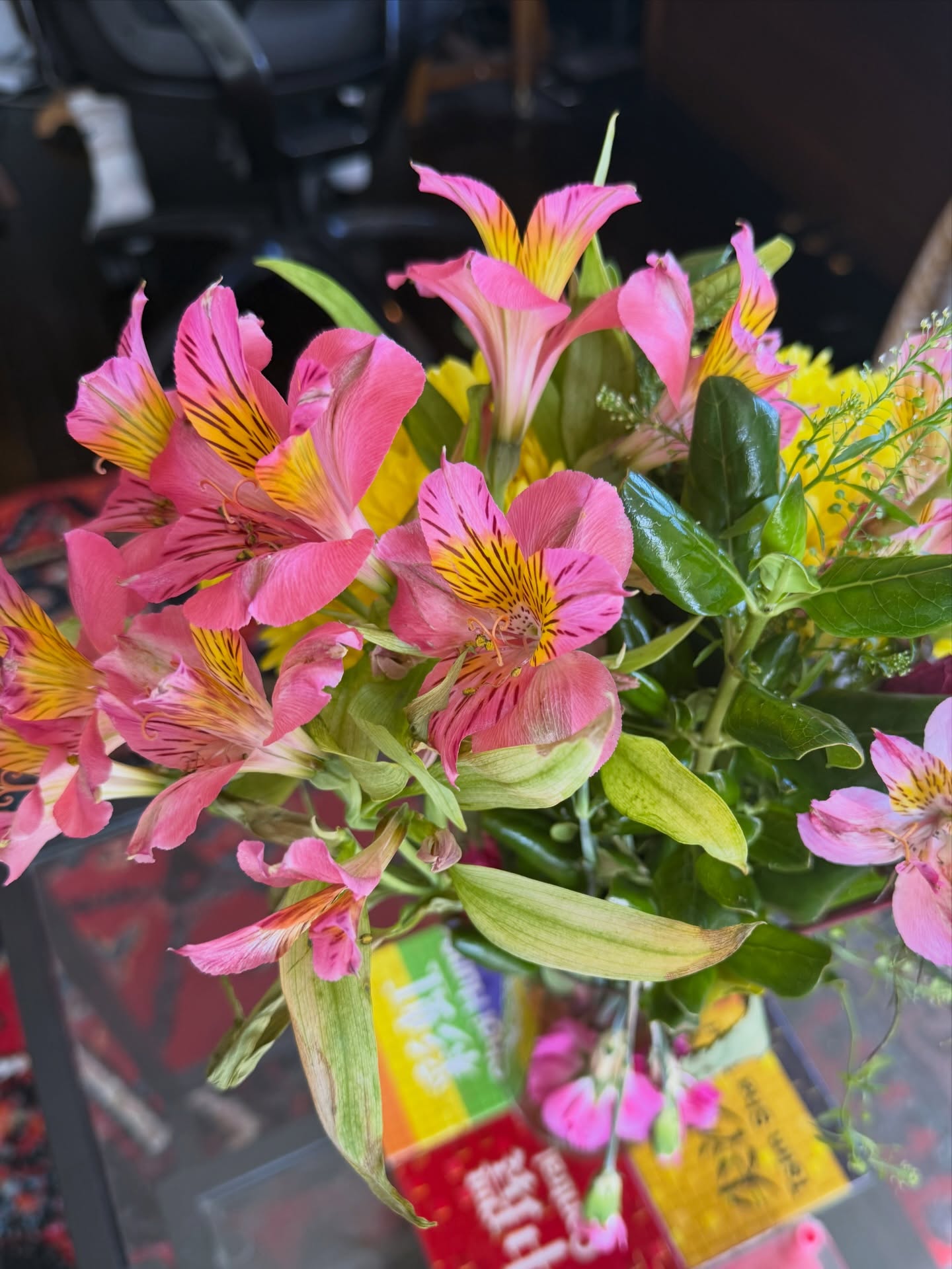 เตนล์ - ชิตพล ลี้ชัยพรกุล