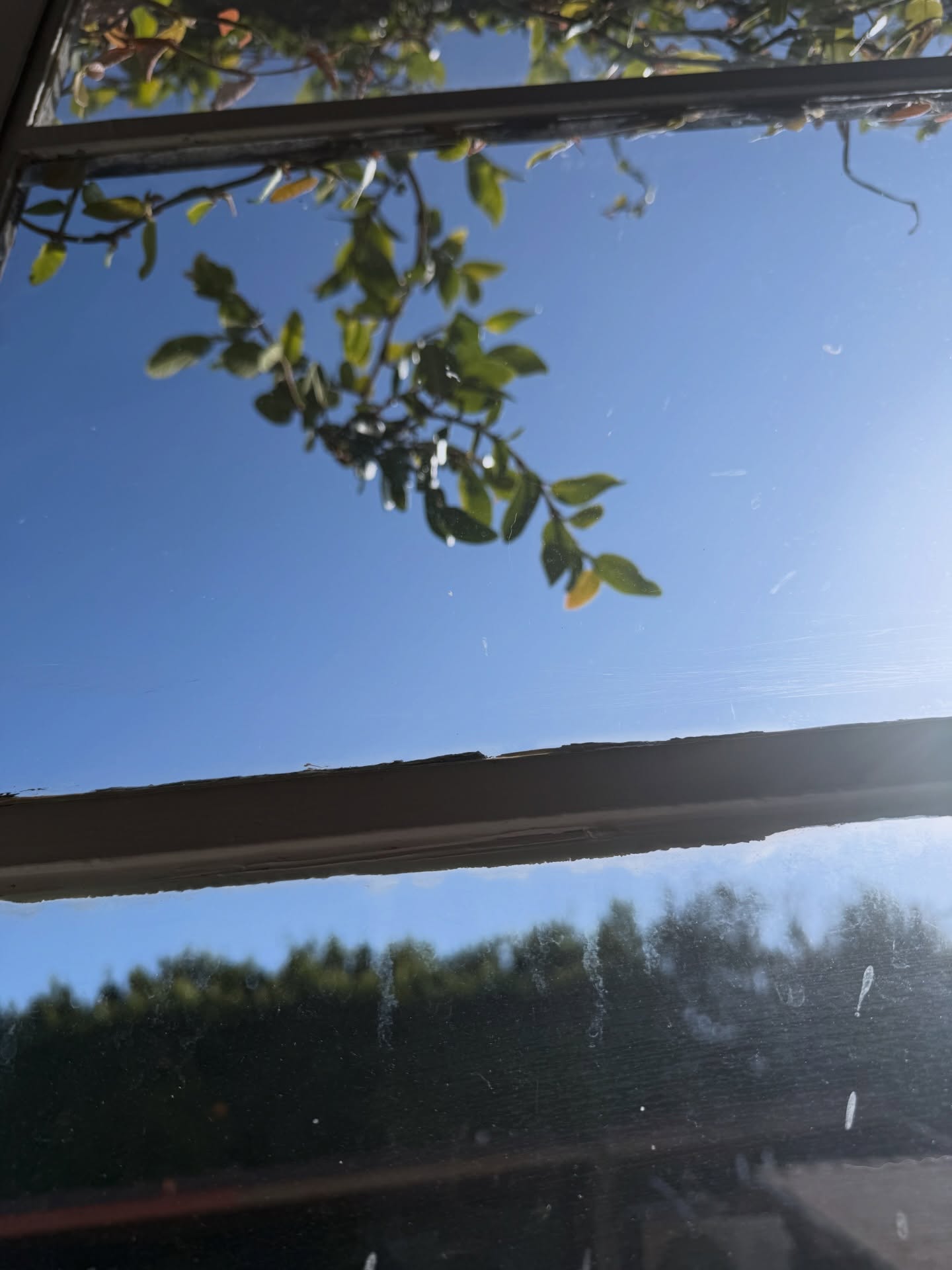 เตนล์ - ชิตพล ลี้ชัยพรกุล