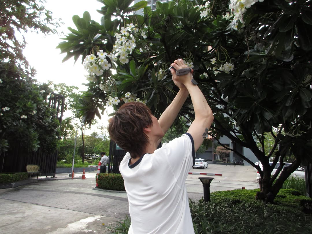 เตนล์ - ชิตพล ลี้ชัยพรกุล