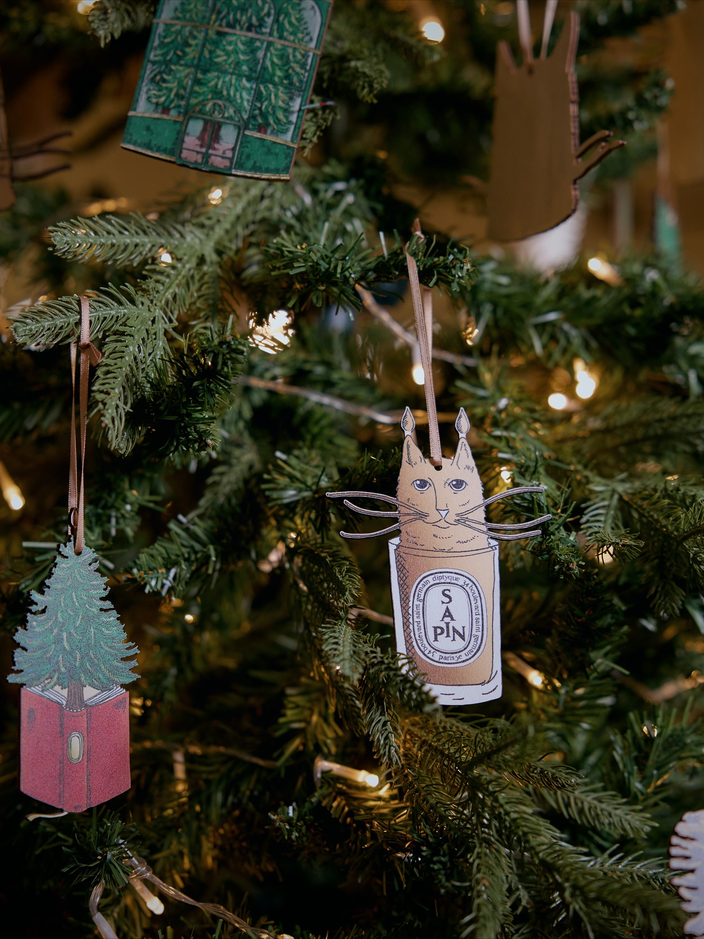 โมเม - นภัสสร บุรณศิริ